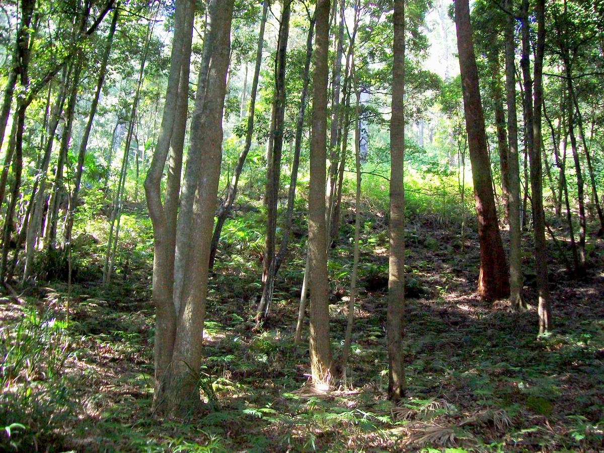 Garawarra State Conservation Area