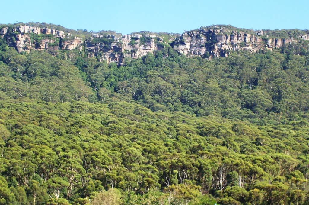 Illawarra Escarpment State Conservation Area