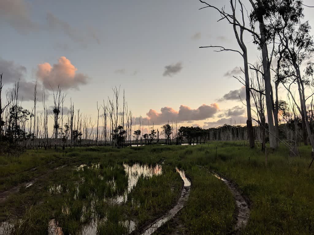 Medowie State Conservation Area