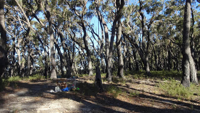 Tallaganda State Conservation Area