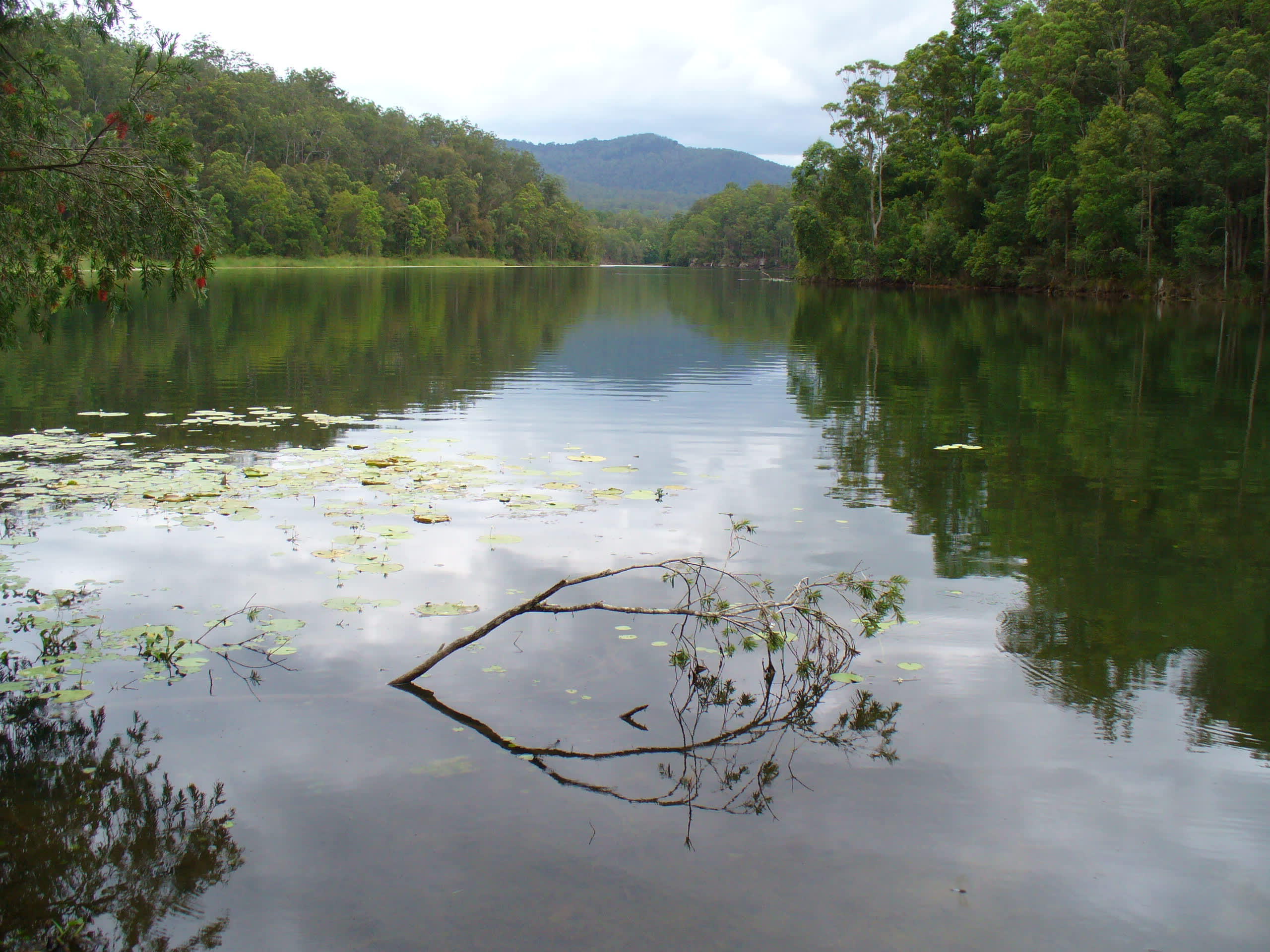 Toonumbar State Conservation Area