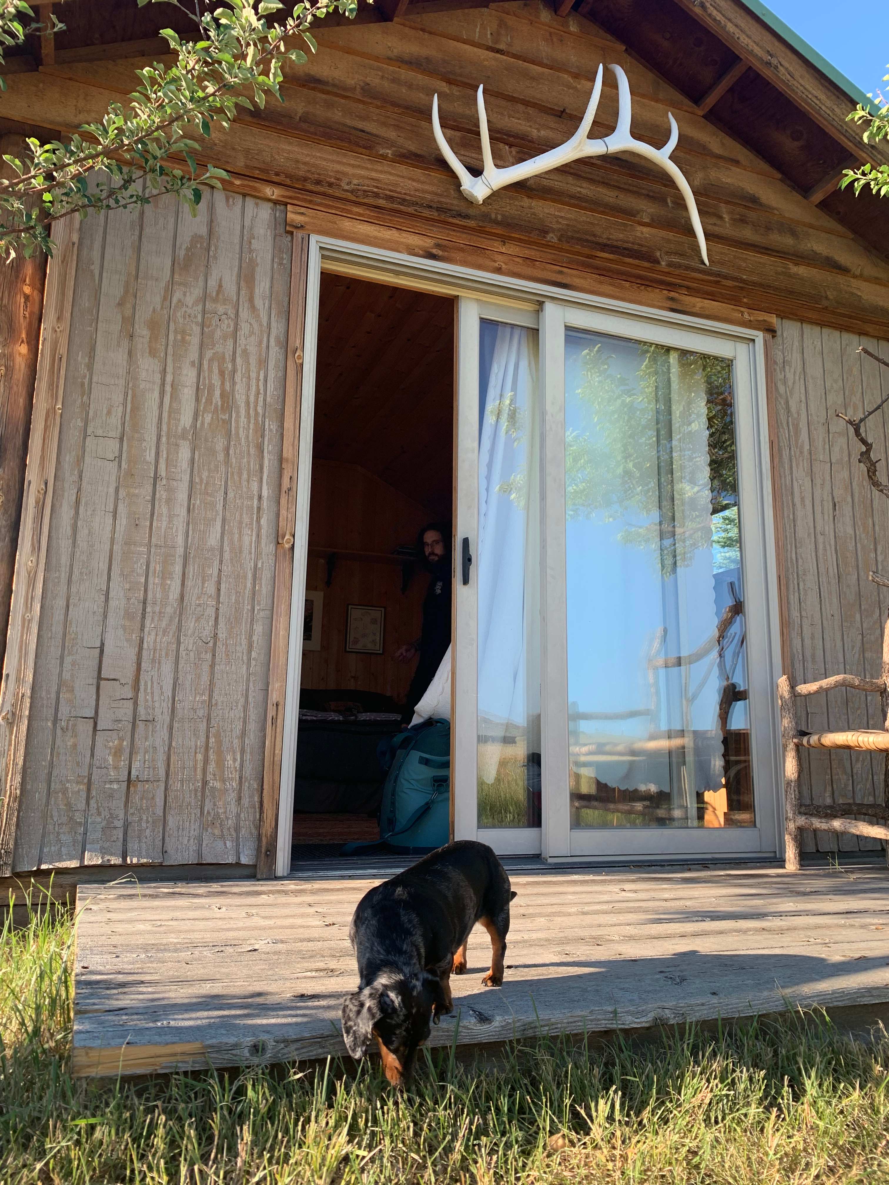 Dog friendly!