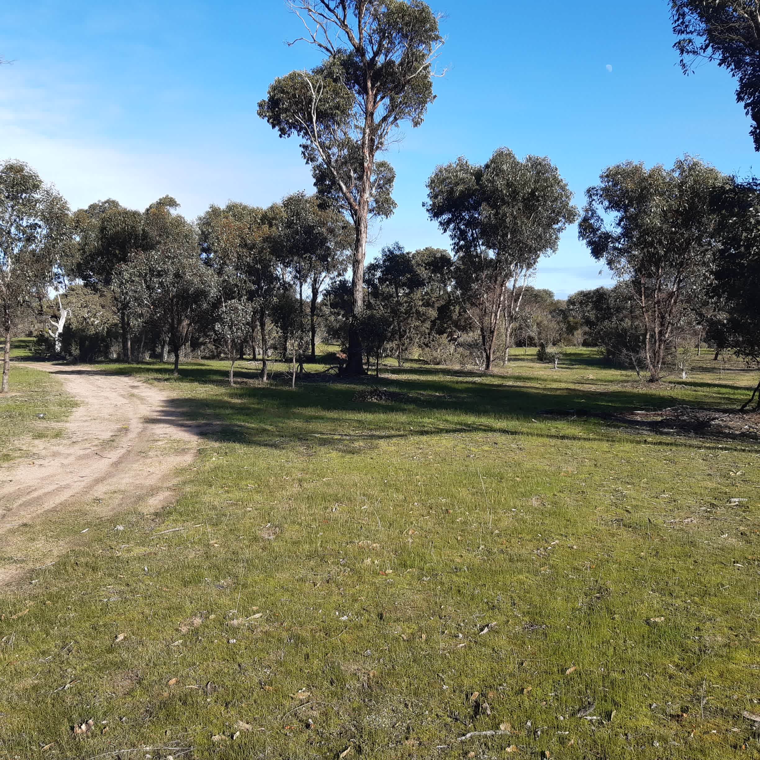 Pingelup Creek Camp in Spring, 
