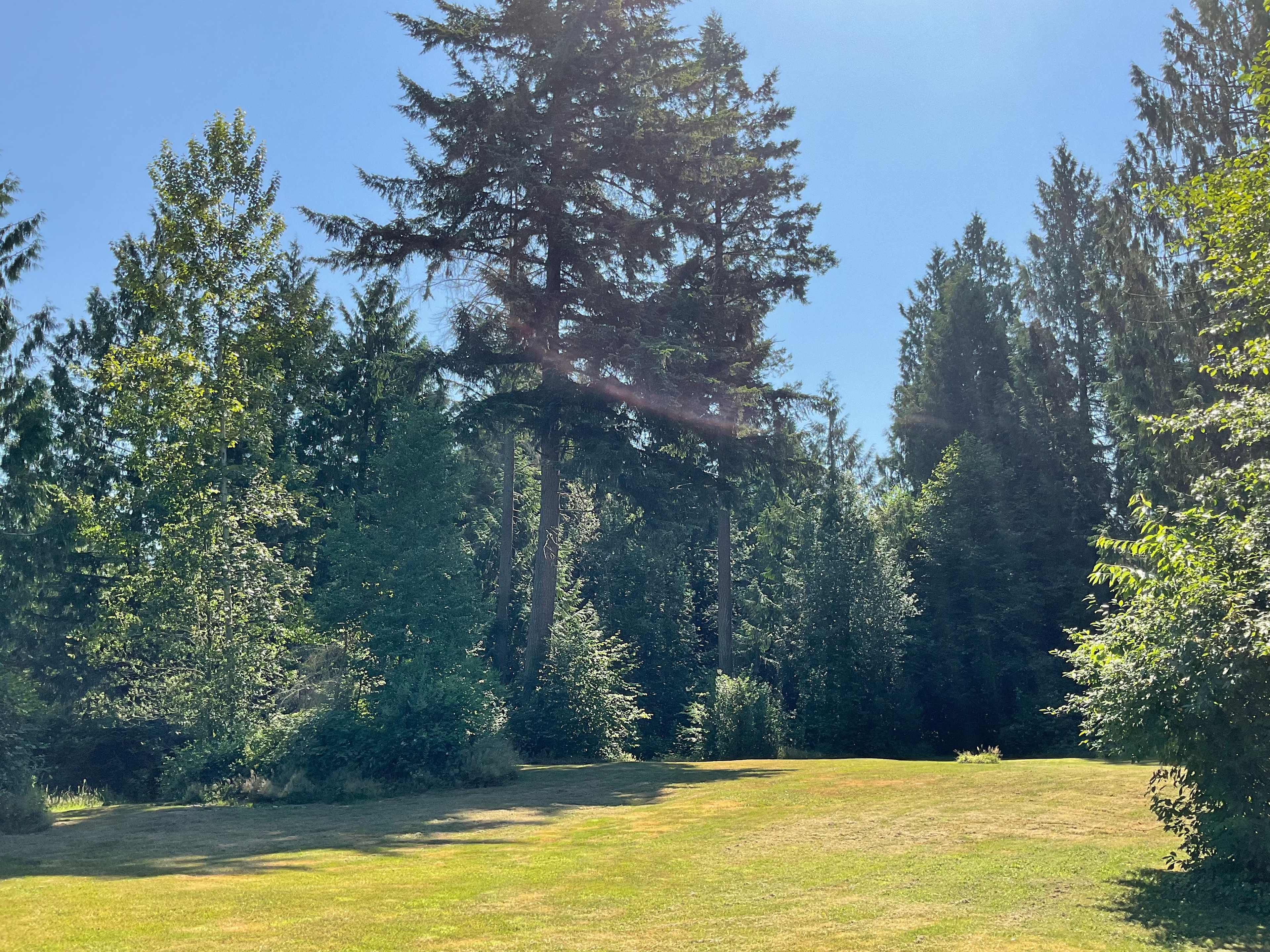 Private setting under tall trees