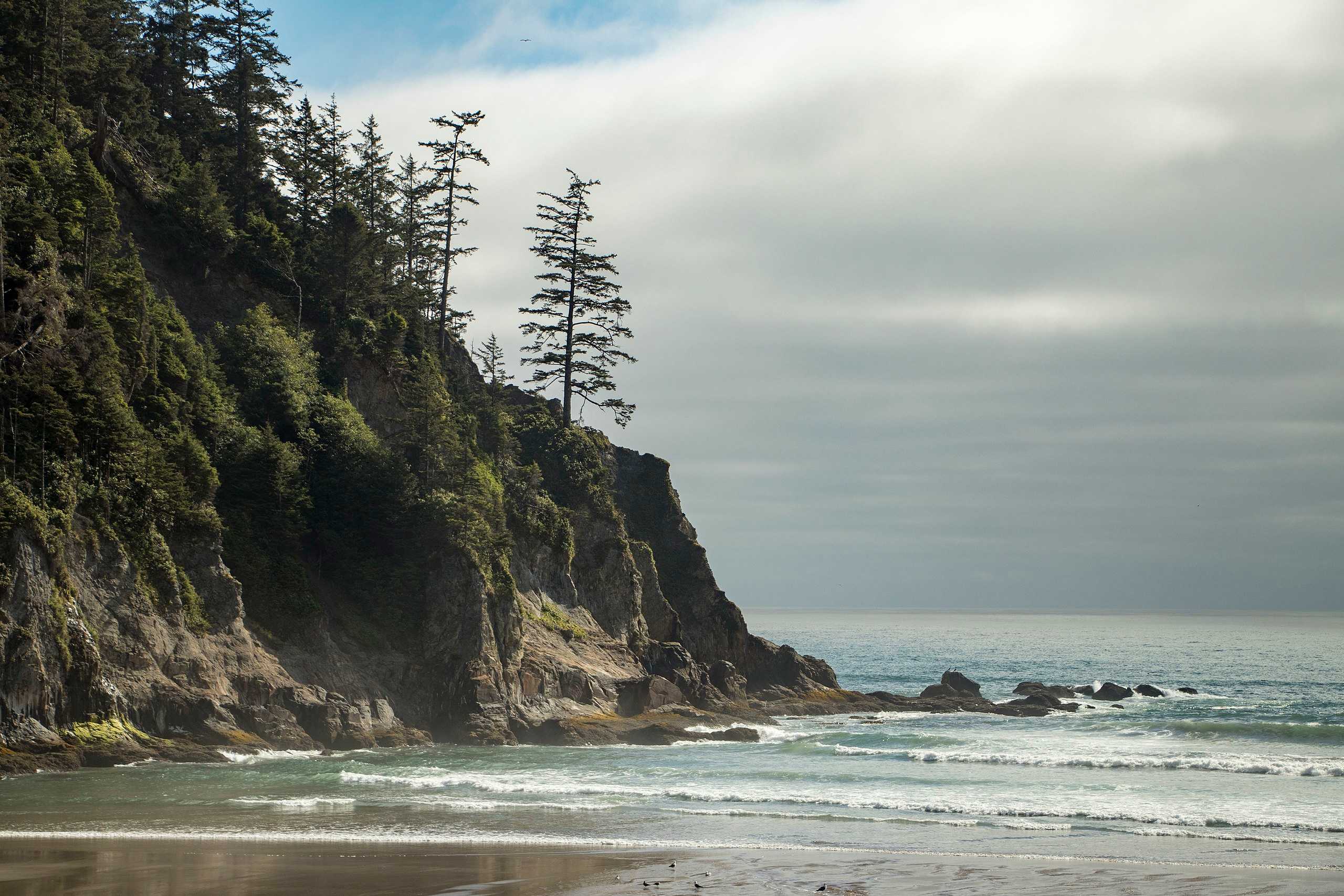 Oswald West State Park