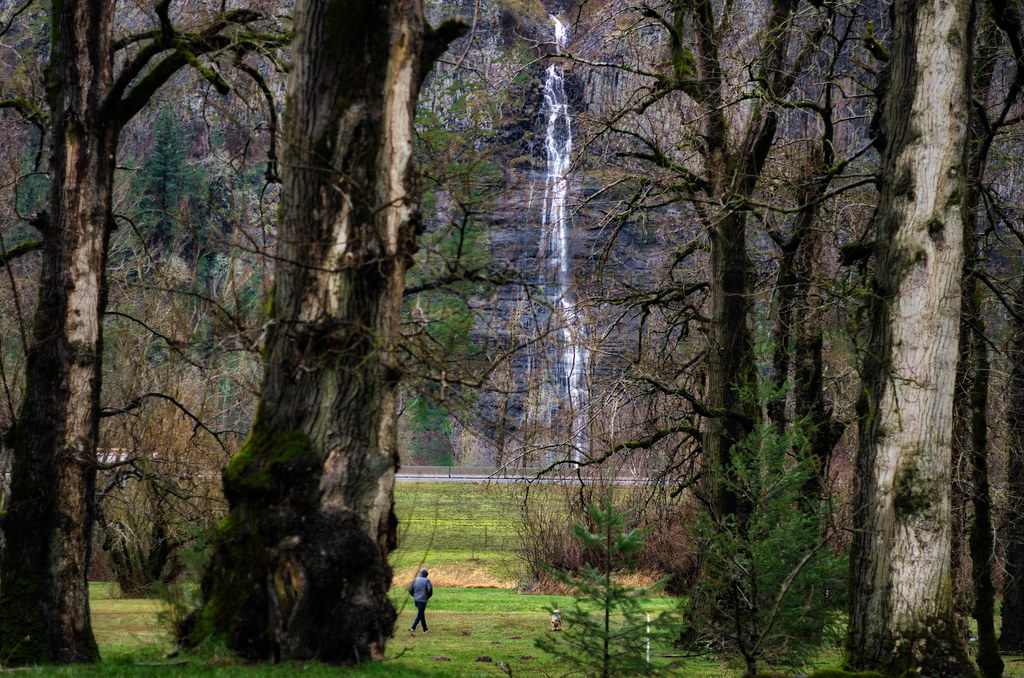 Rooster Rock State Park
