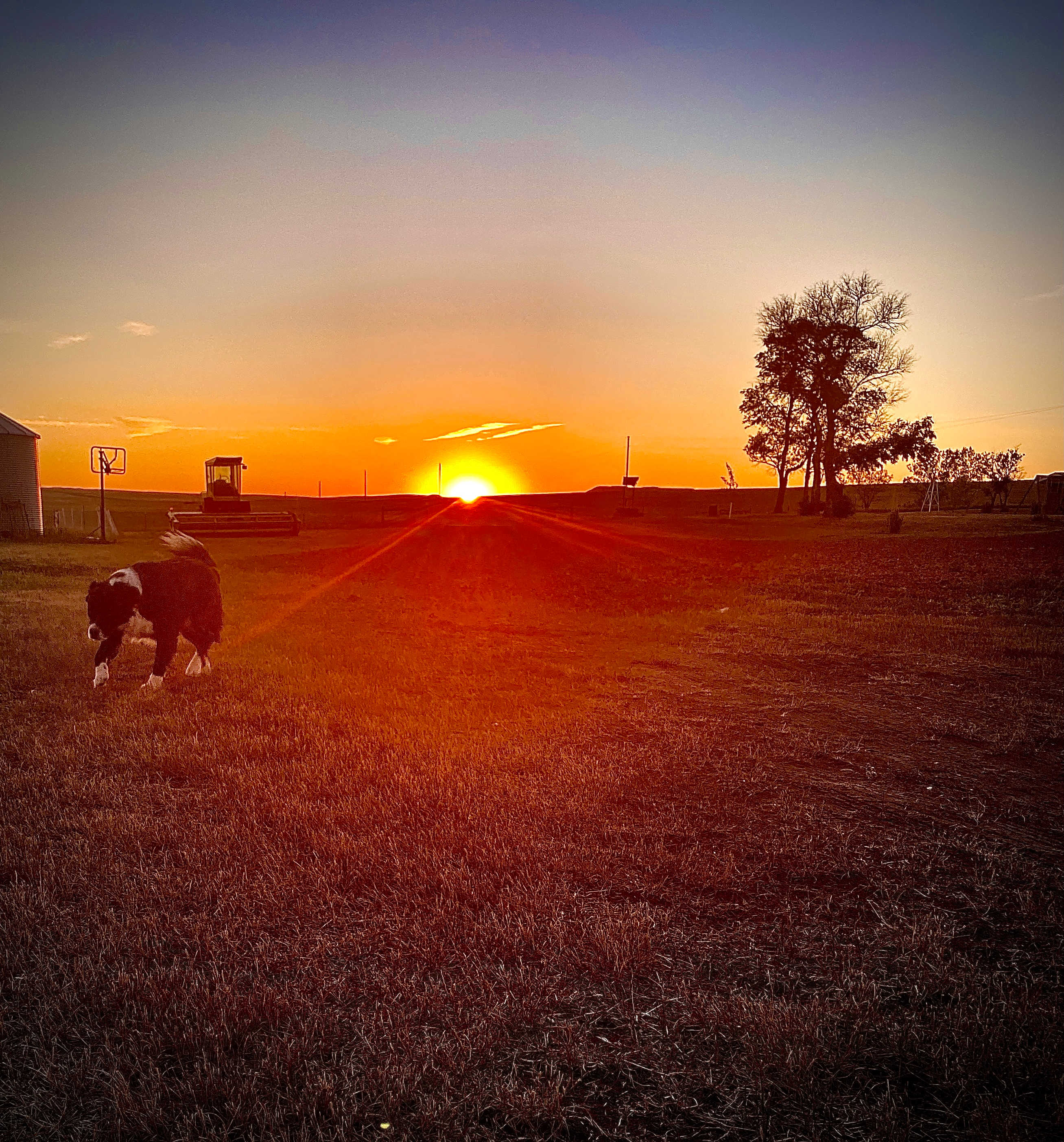Quiet Cattle Ranch
