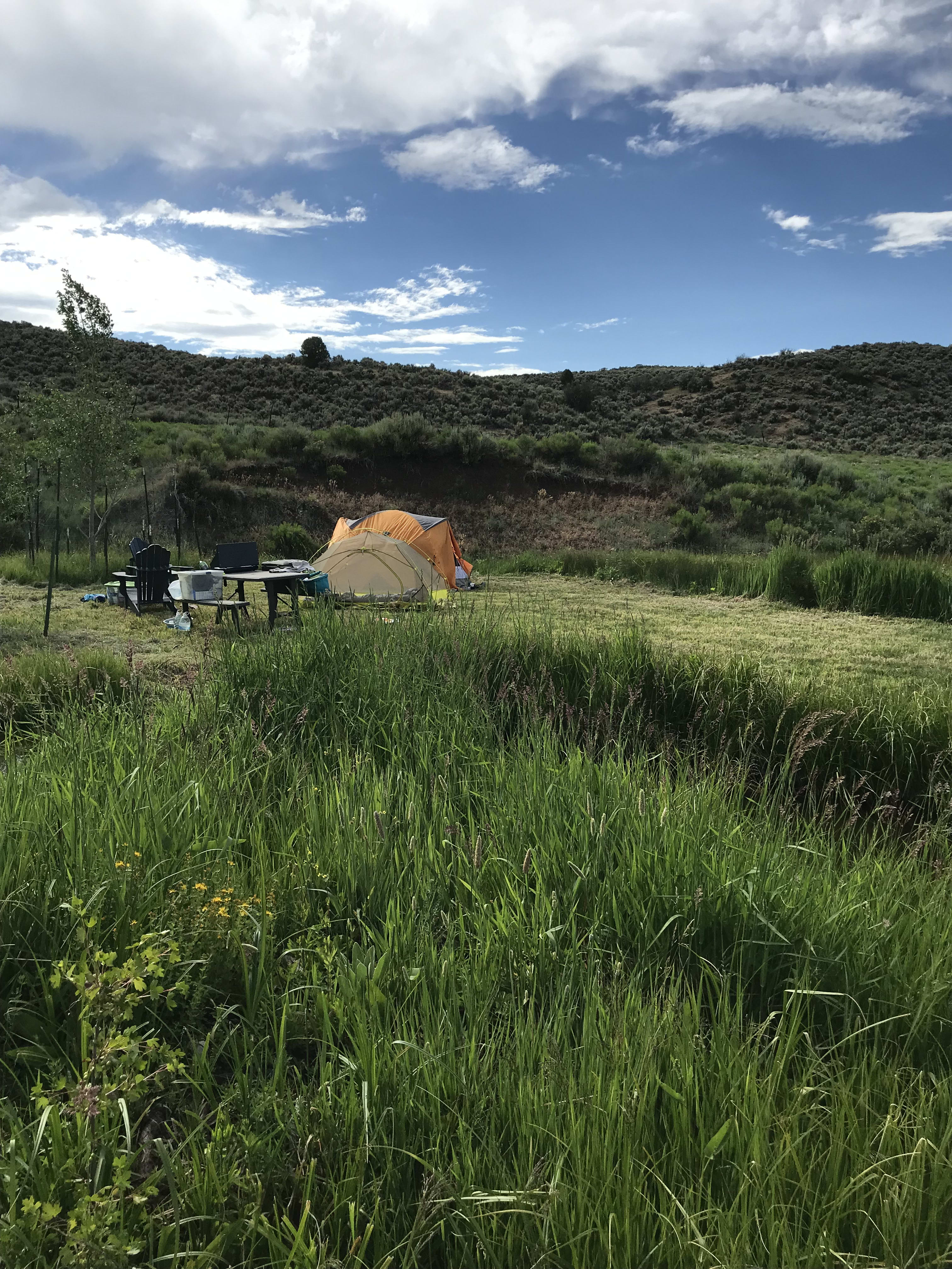 Tent Camp on Coulter Creek