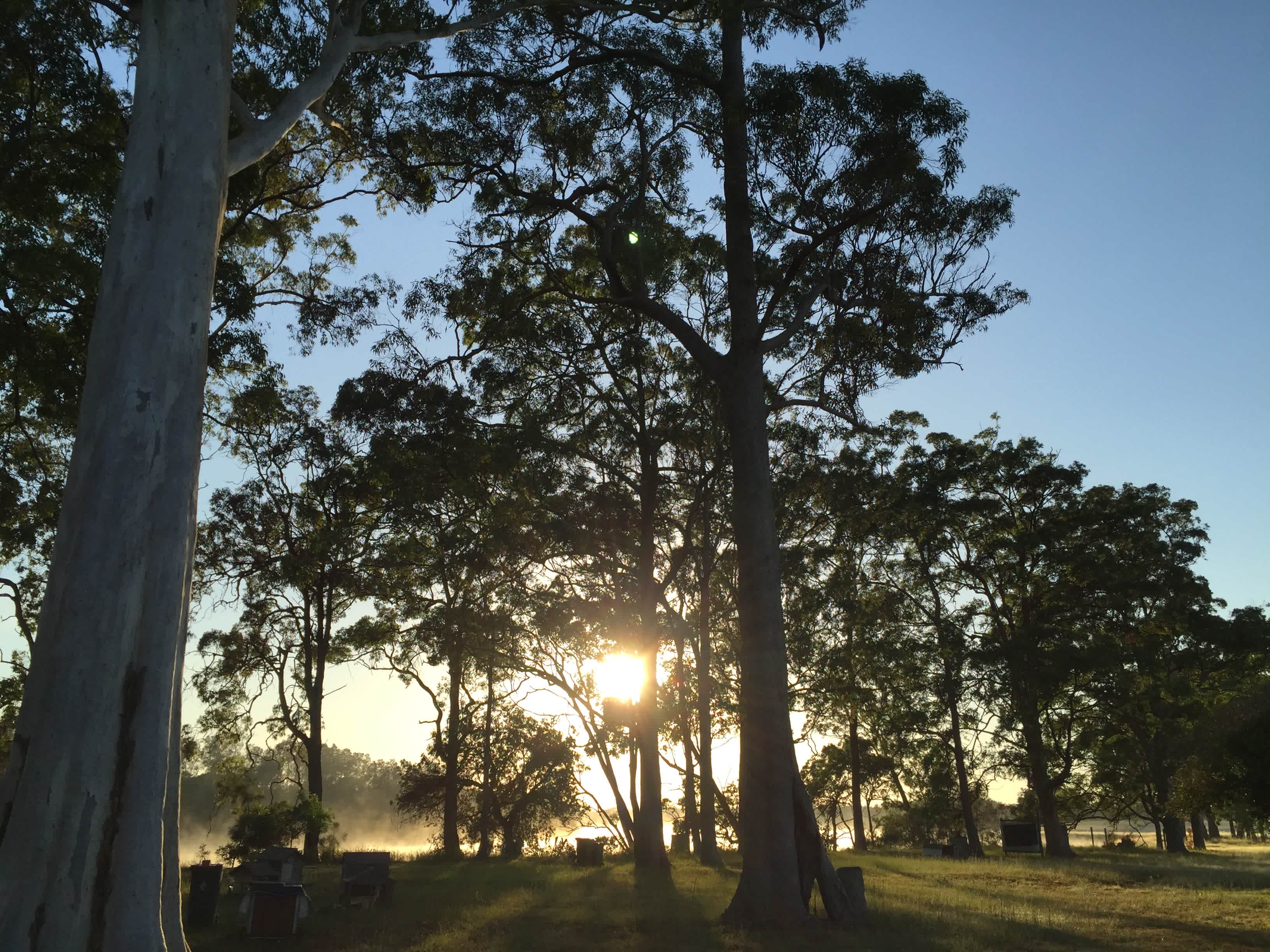 The Hatch Farm - Port Macquarie