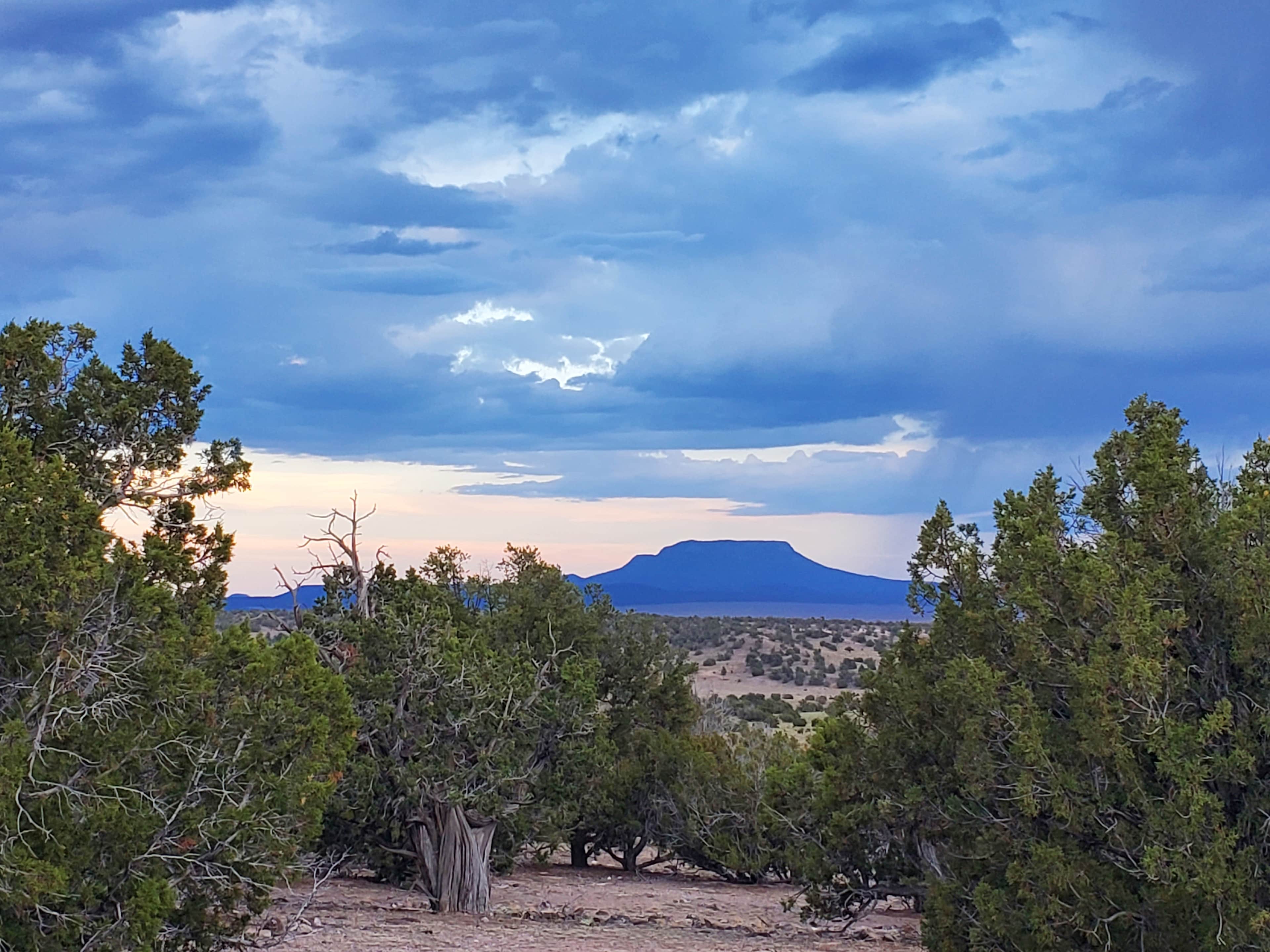 High Desert Magic