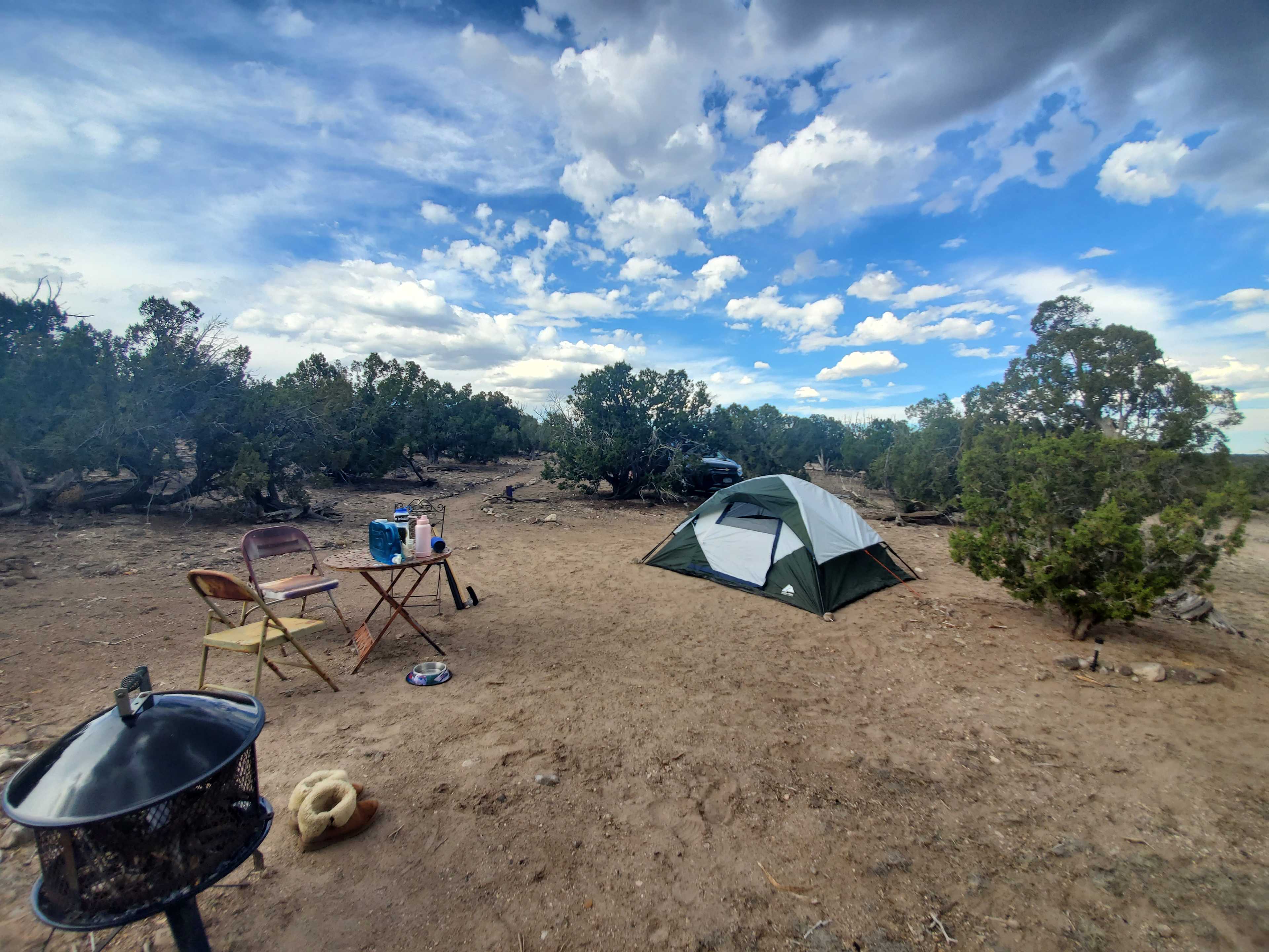 High Desert Magic
