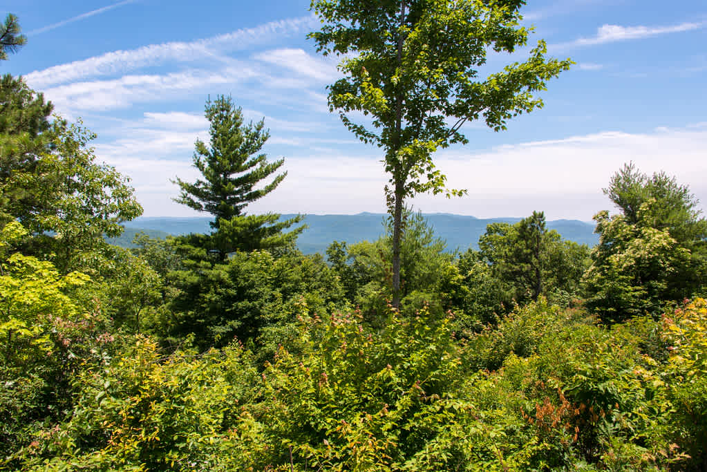 Gorges State Park