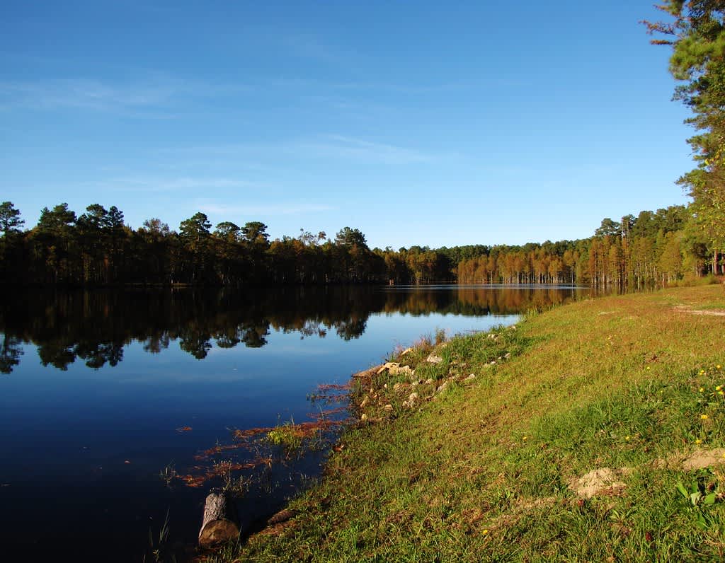 Carvers Creek State Park