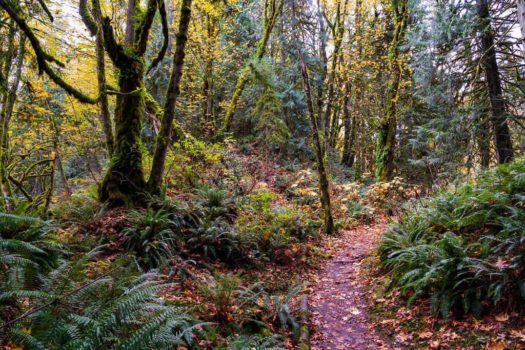 Flaming Geyser State Park