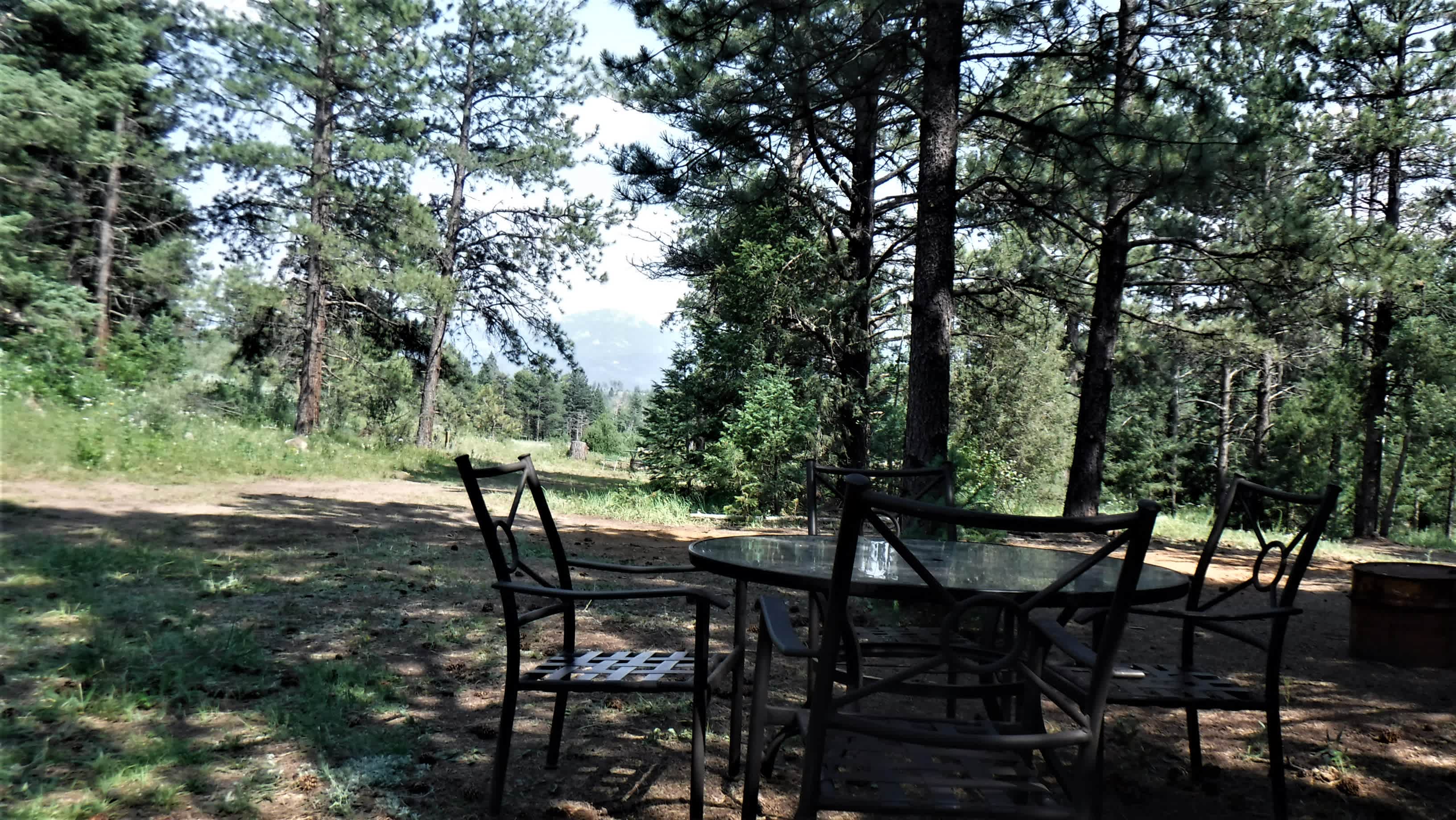 The view of Devil's Head Mountain in the background, from the patio table.