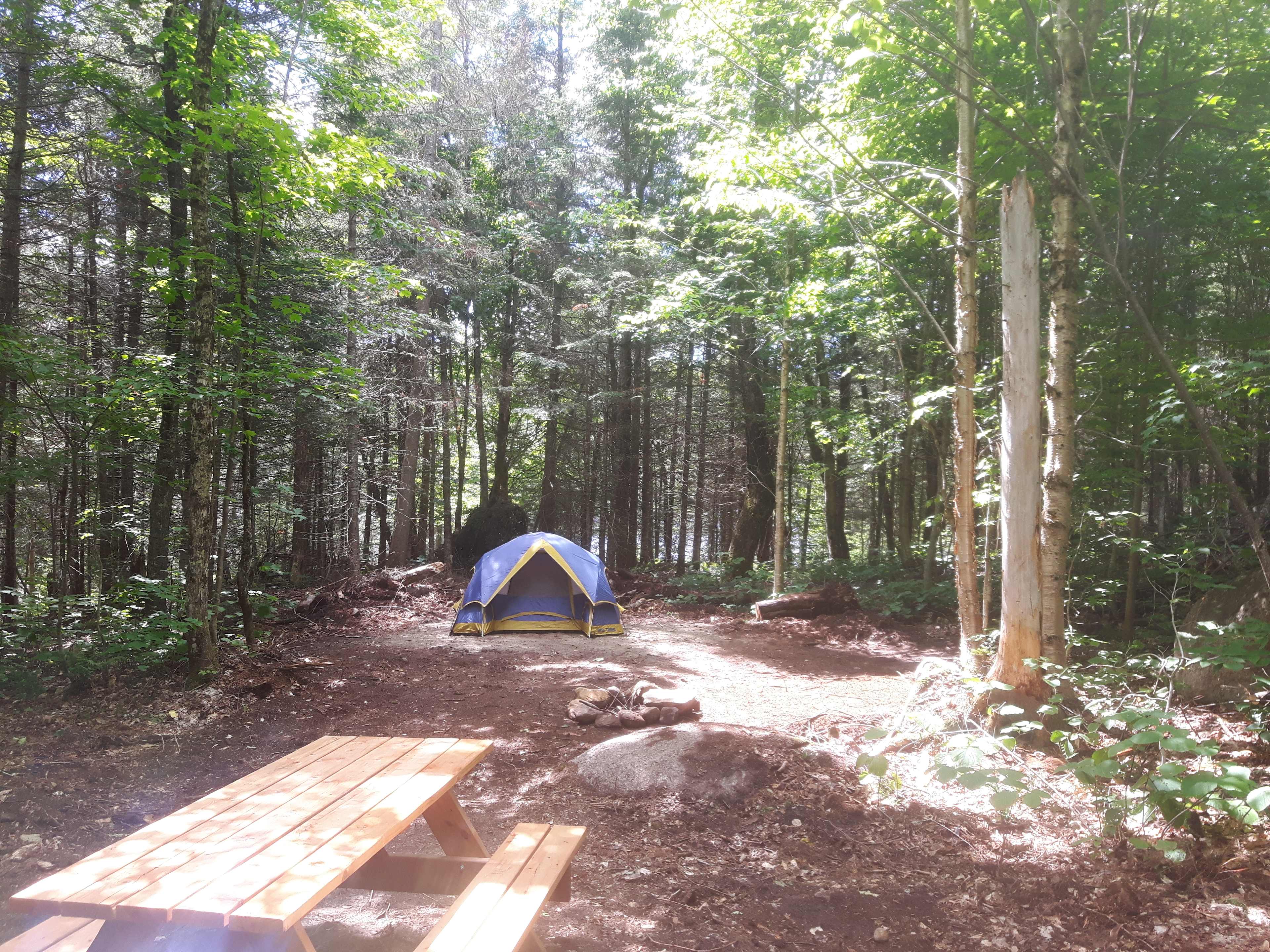 site 3
