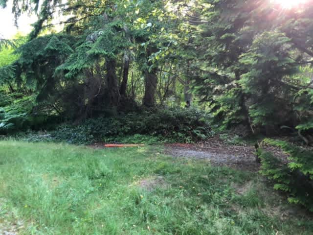 A picture of the camper / van parking spot from a little further back. 