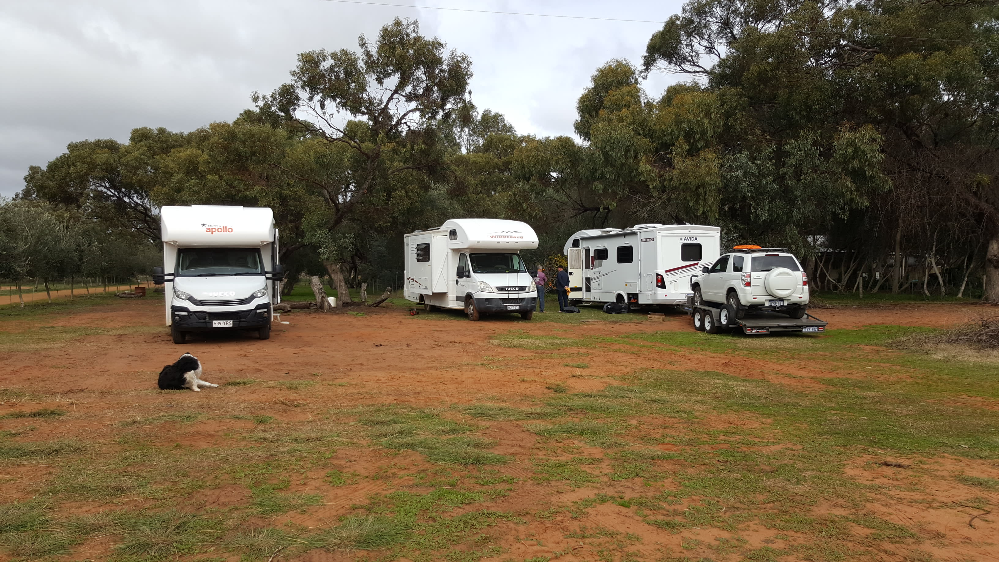 GREY FANTAIL has space for a group of motorhomes or large caravans.