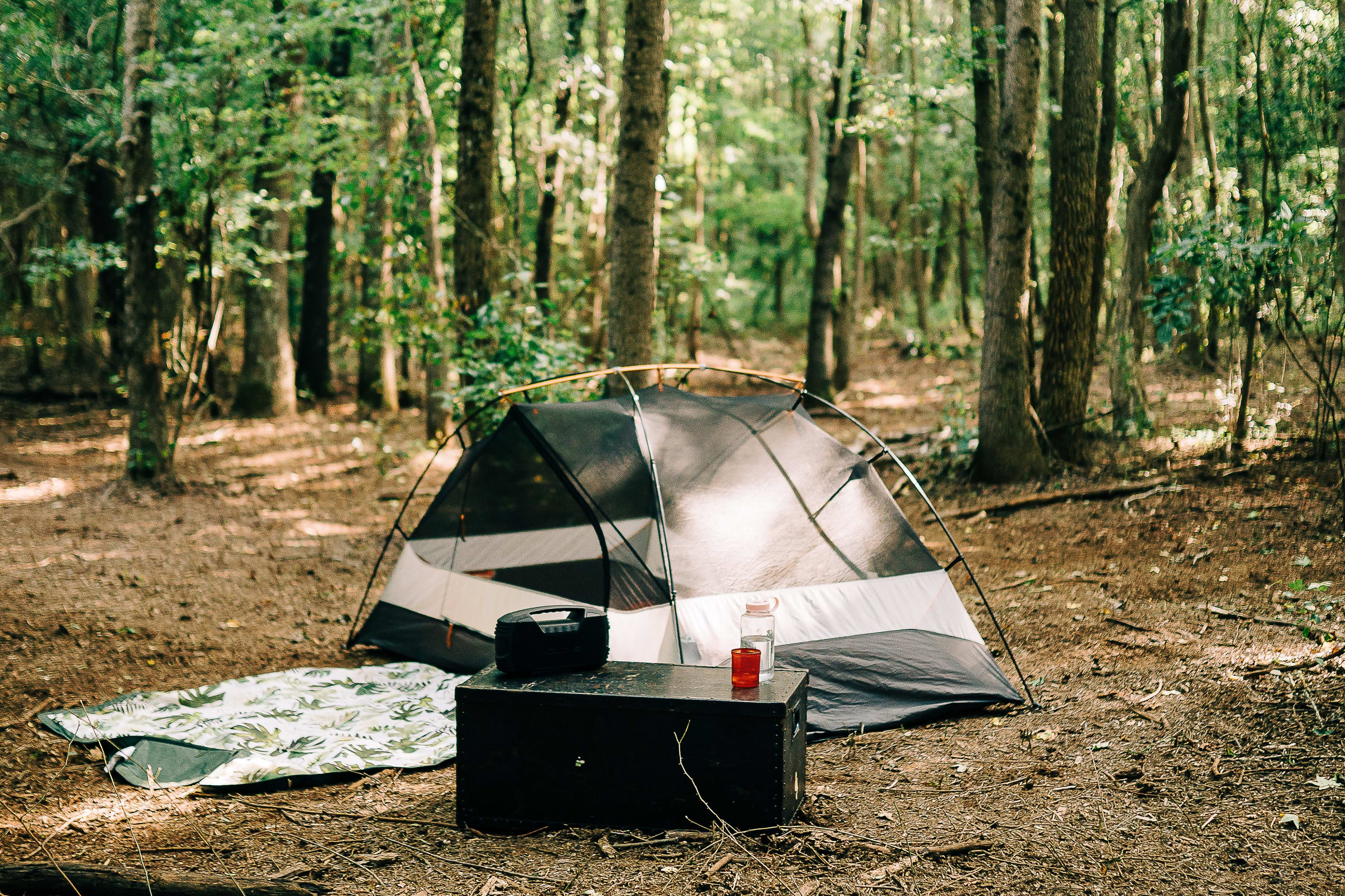 Our set up, nestled in the pines.