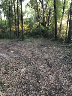 Looking from site #2, this is a portion of the perimeter path through the Turkey Cross Woods. 