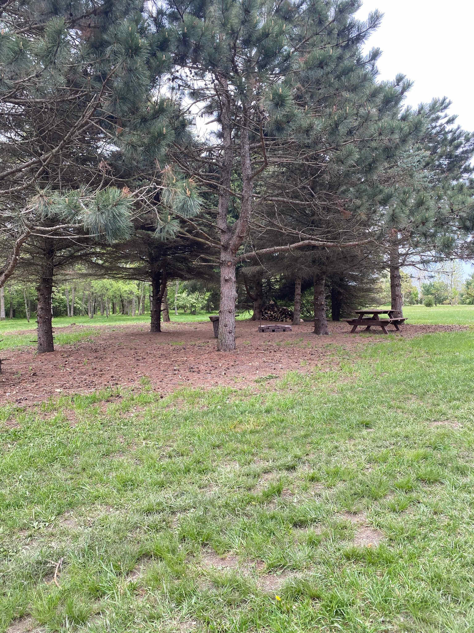 Gun Smoke Ranch