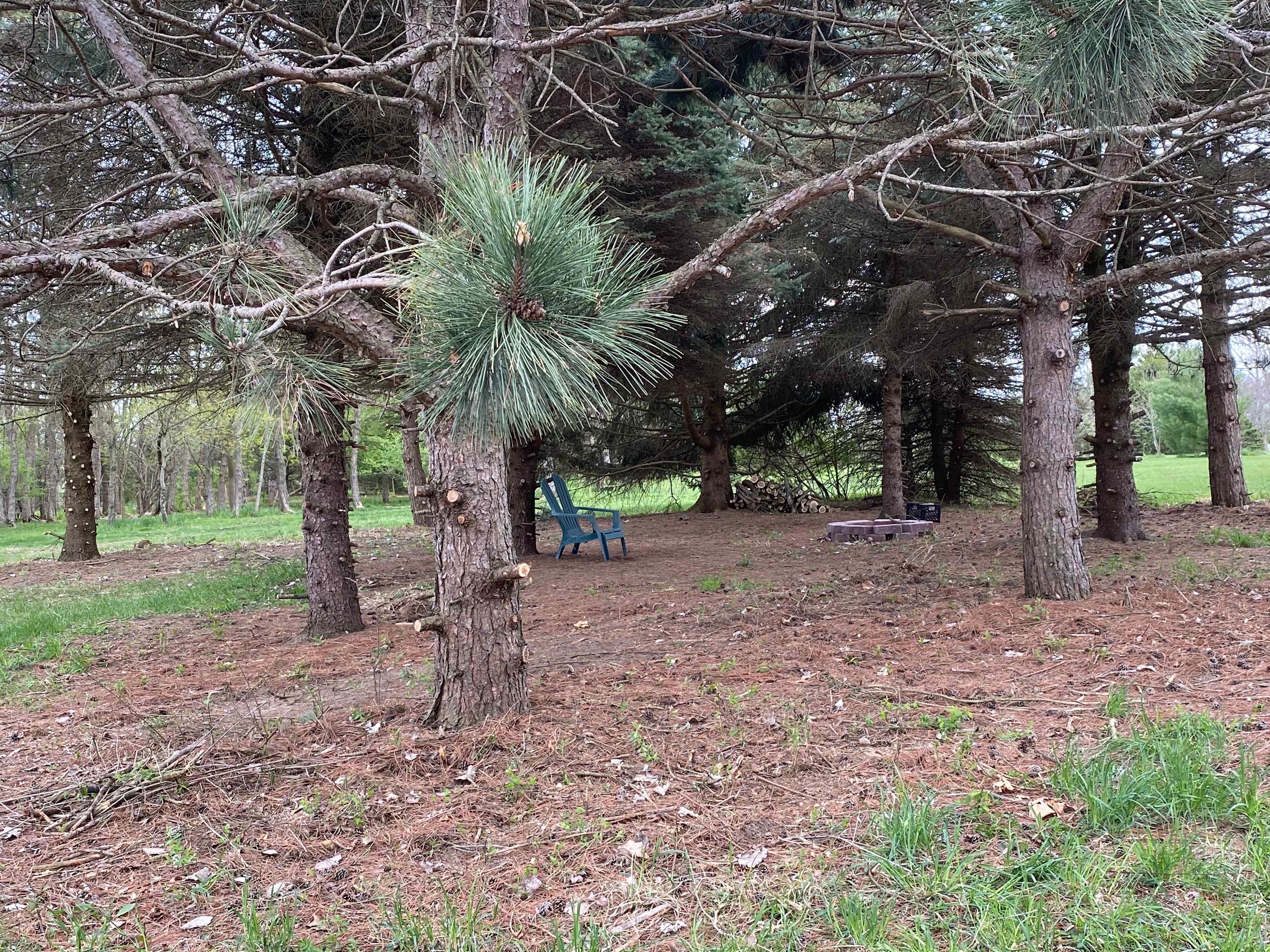 Gun Smoke Ranch