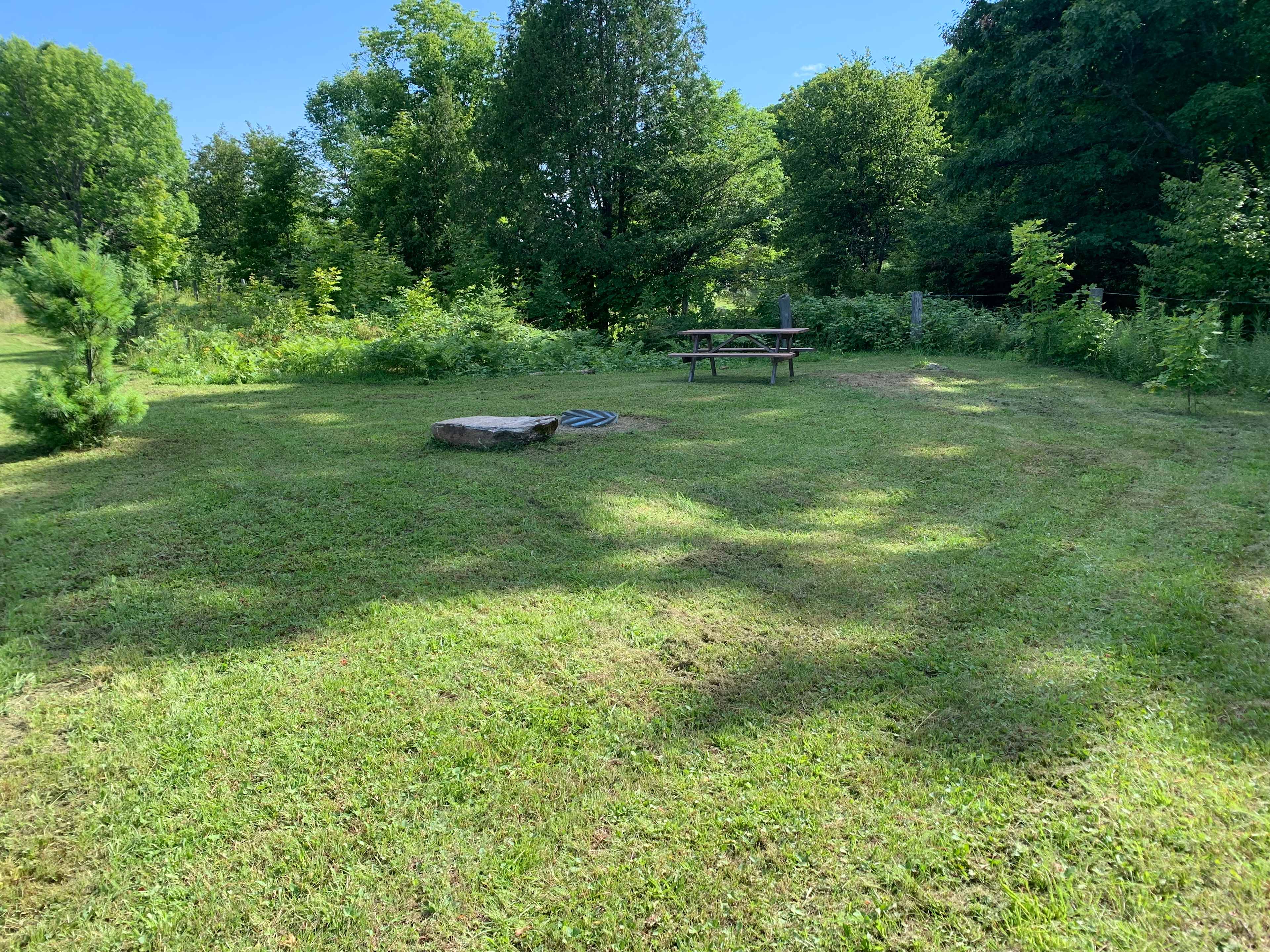 Wolf 2 look out next to the forest walk