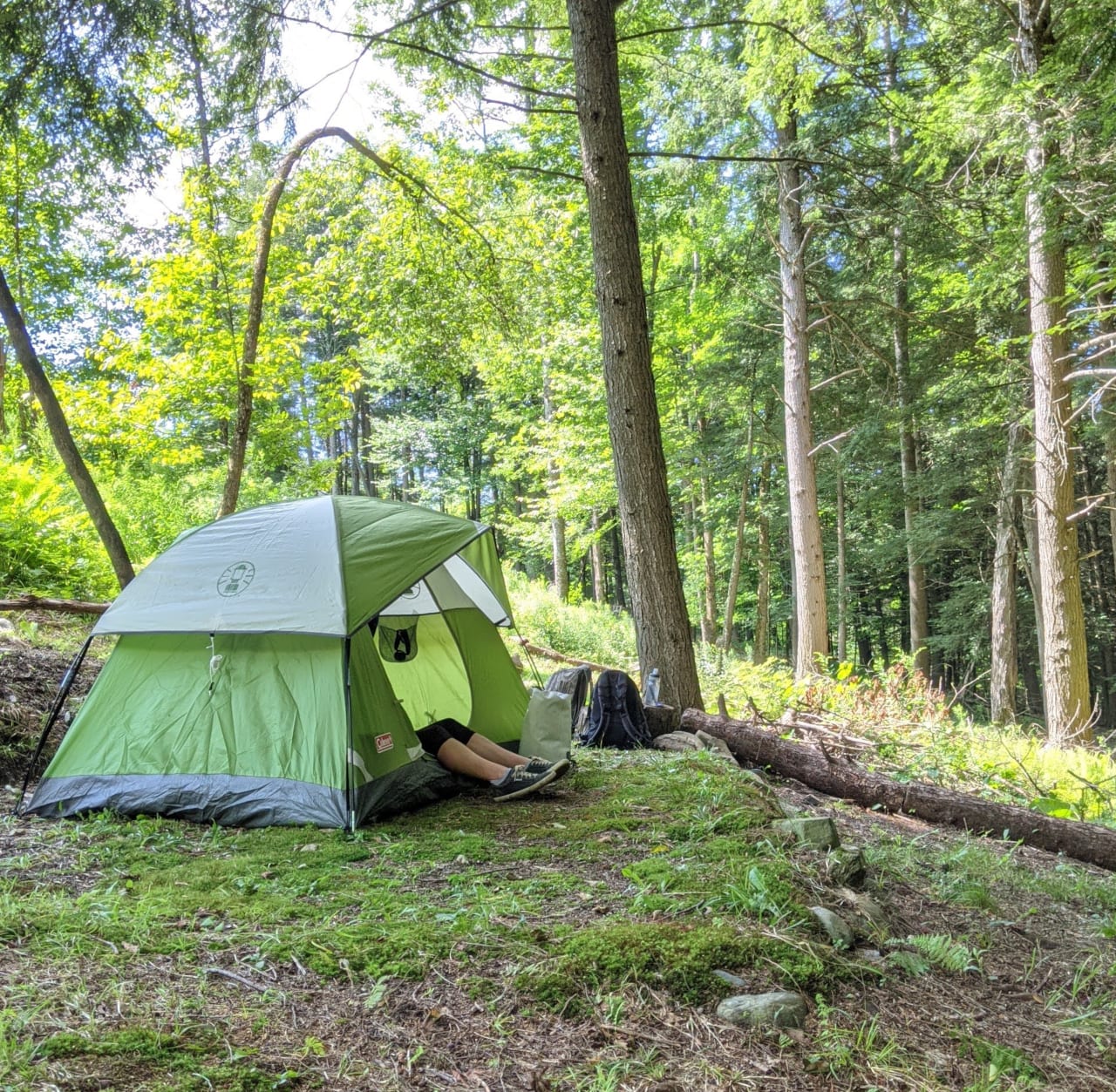 Tent area at Turtle Hill Native Plants