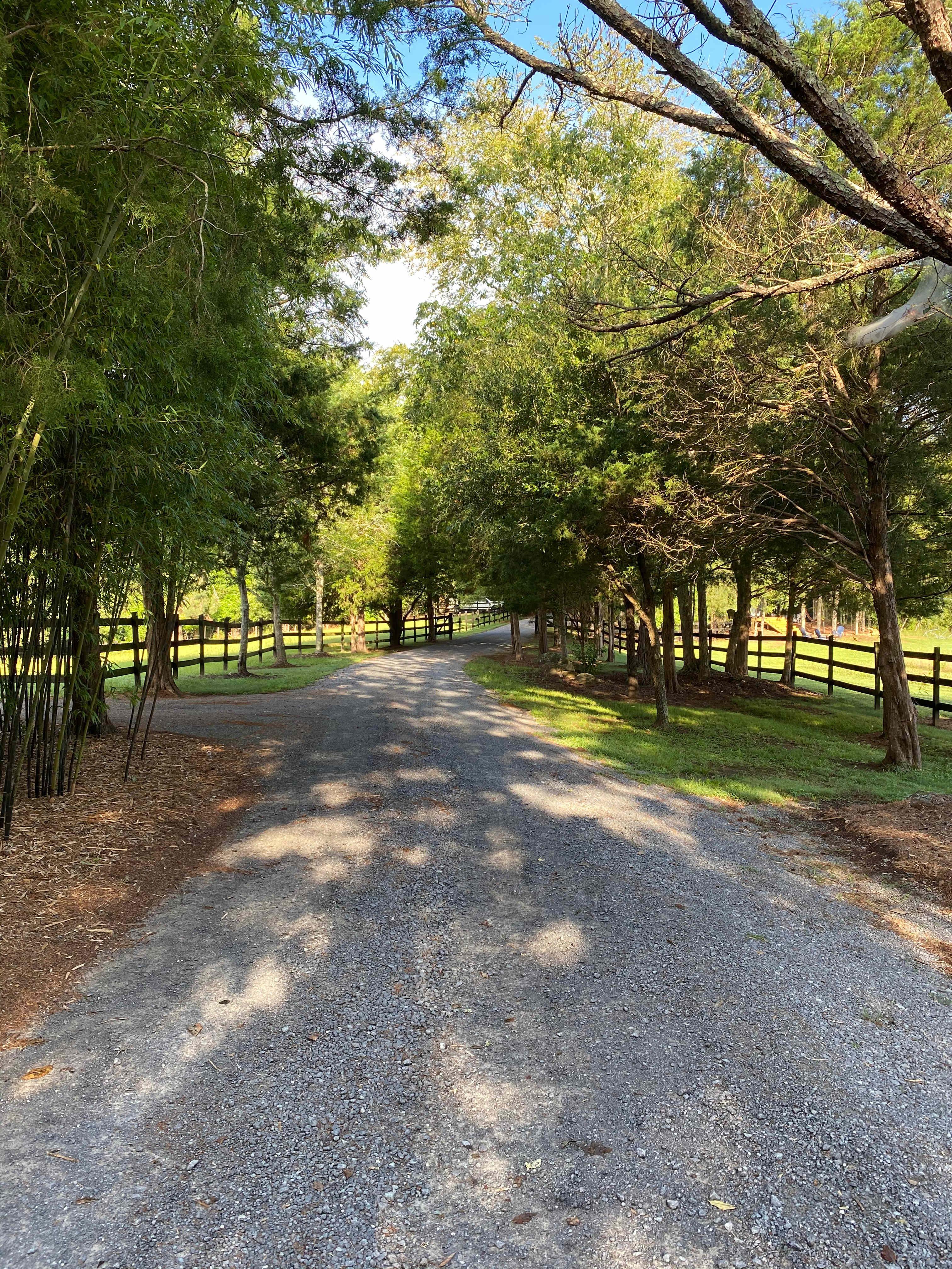 Mike's country home and land