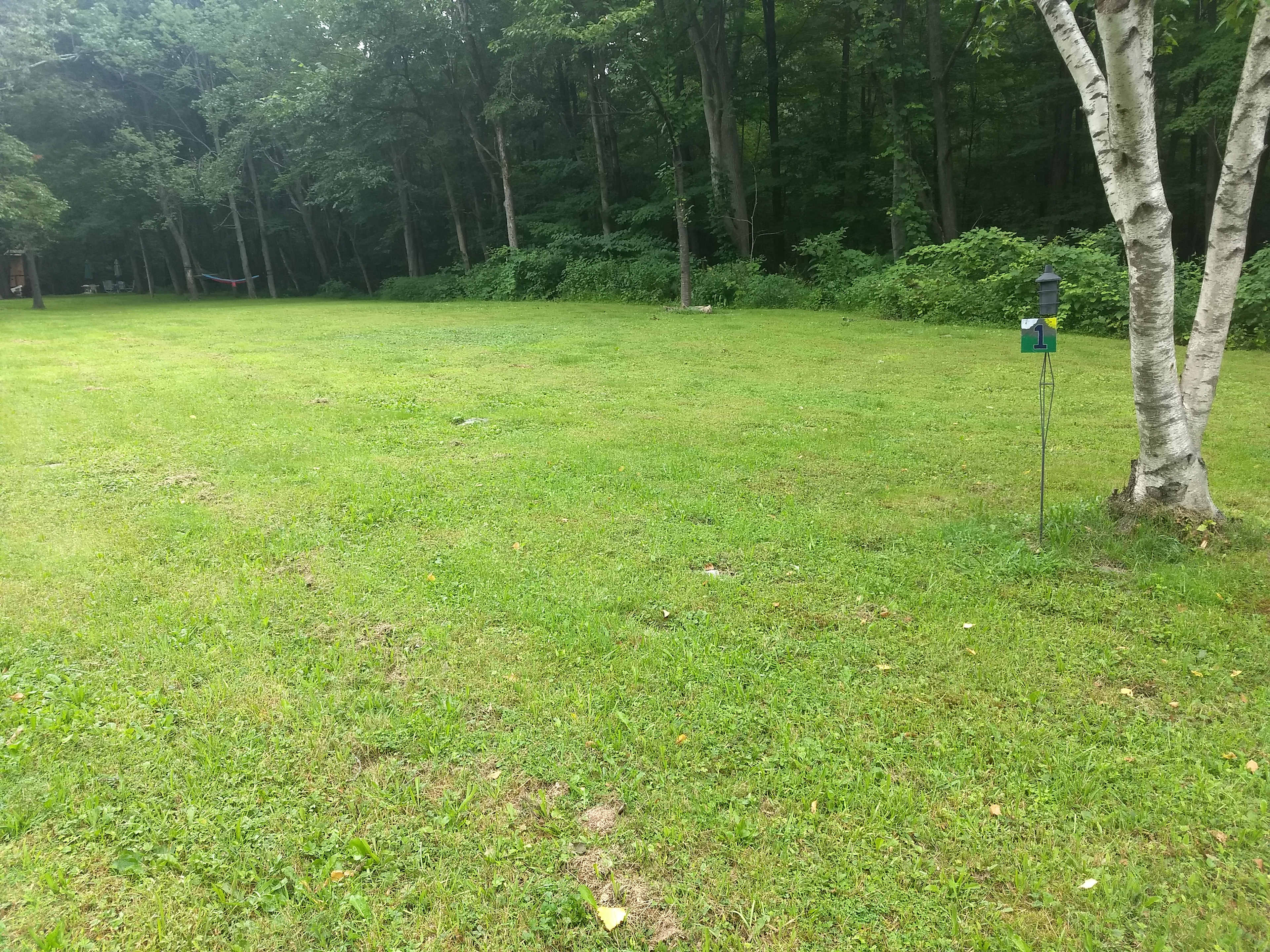 site 1 is large and mostly level. it can fit RV's and campers up to 30 feet