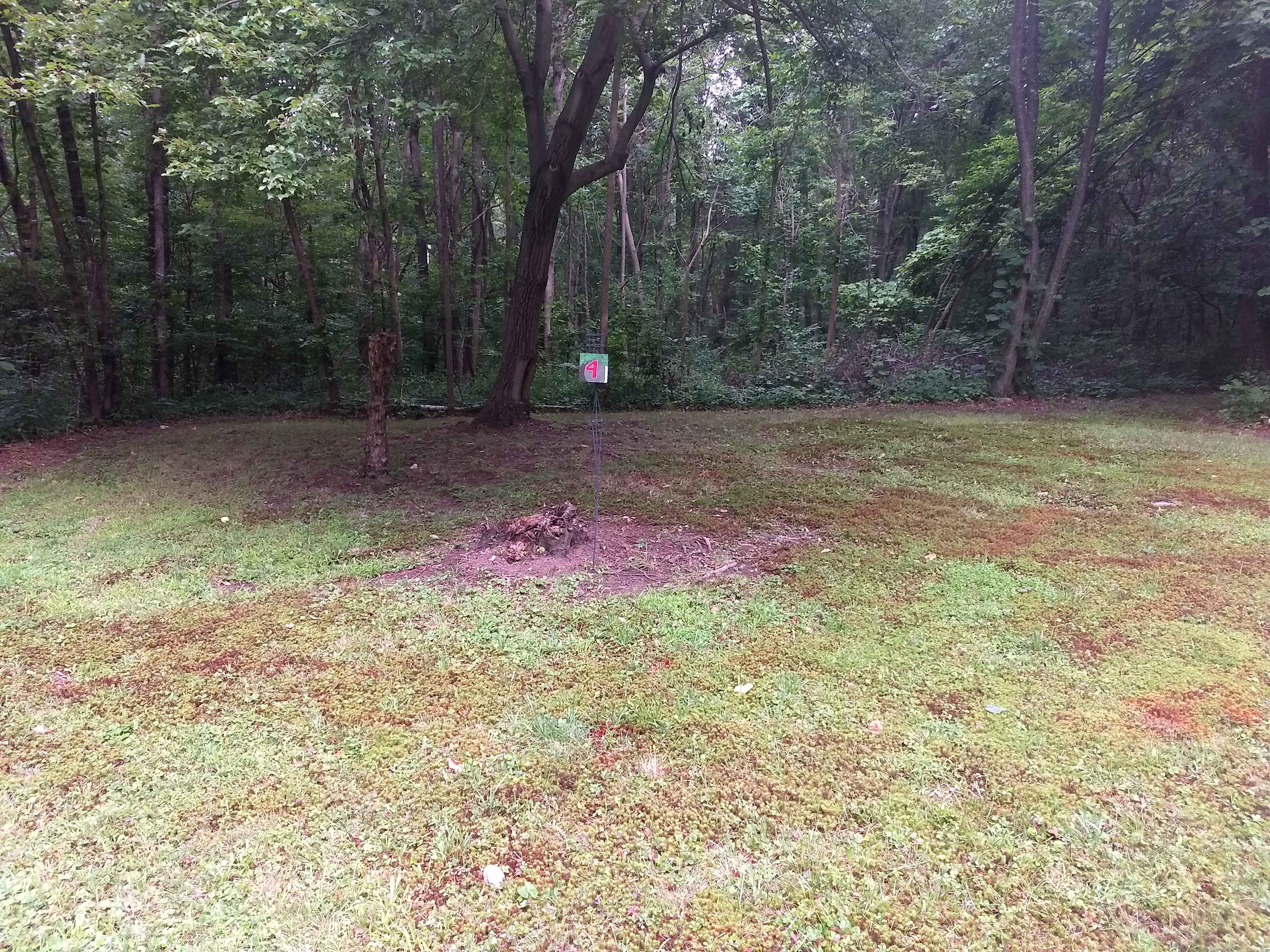 site 4 is close to the road and right across from the common ground area. large enough for RV's, campers or tents