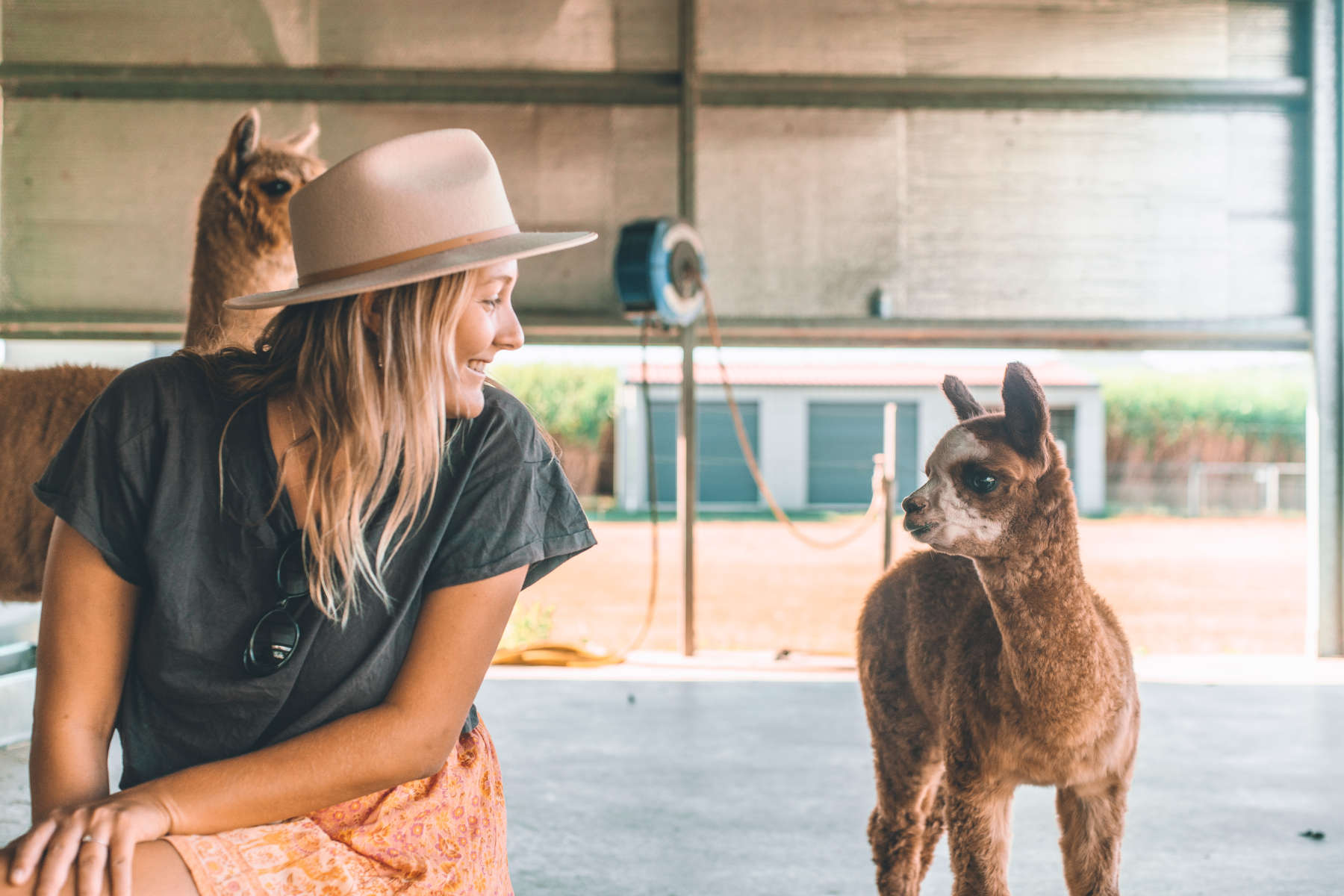 Jarravale Farm Stay