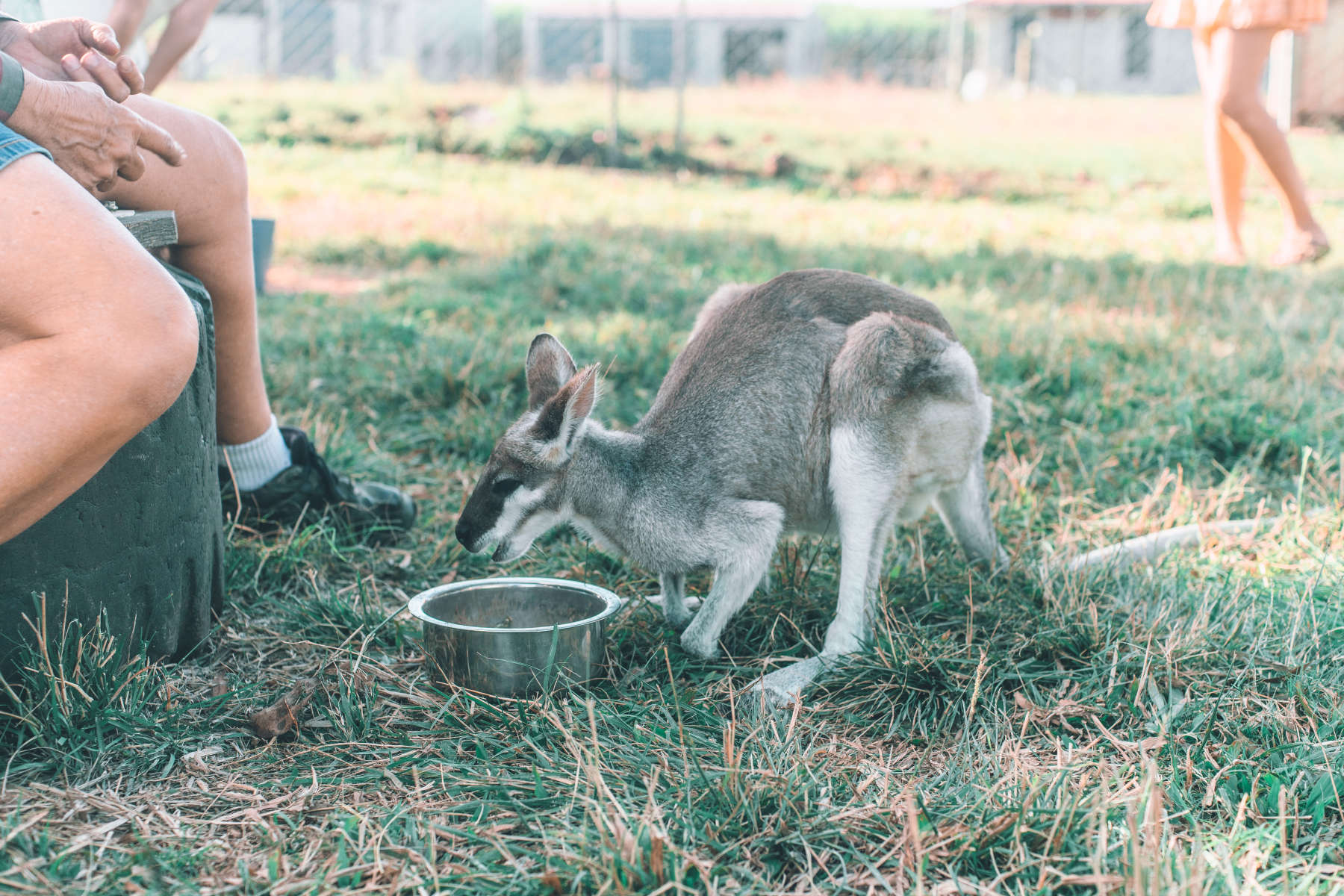 Jarravale Farm Stay