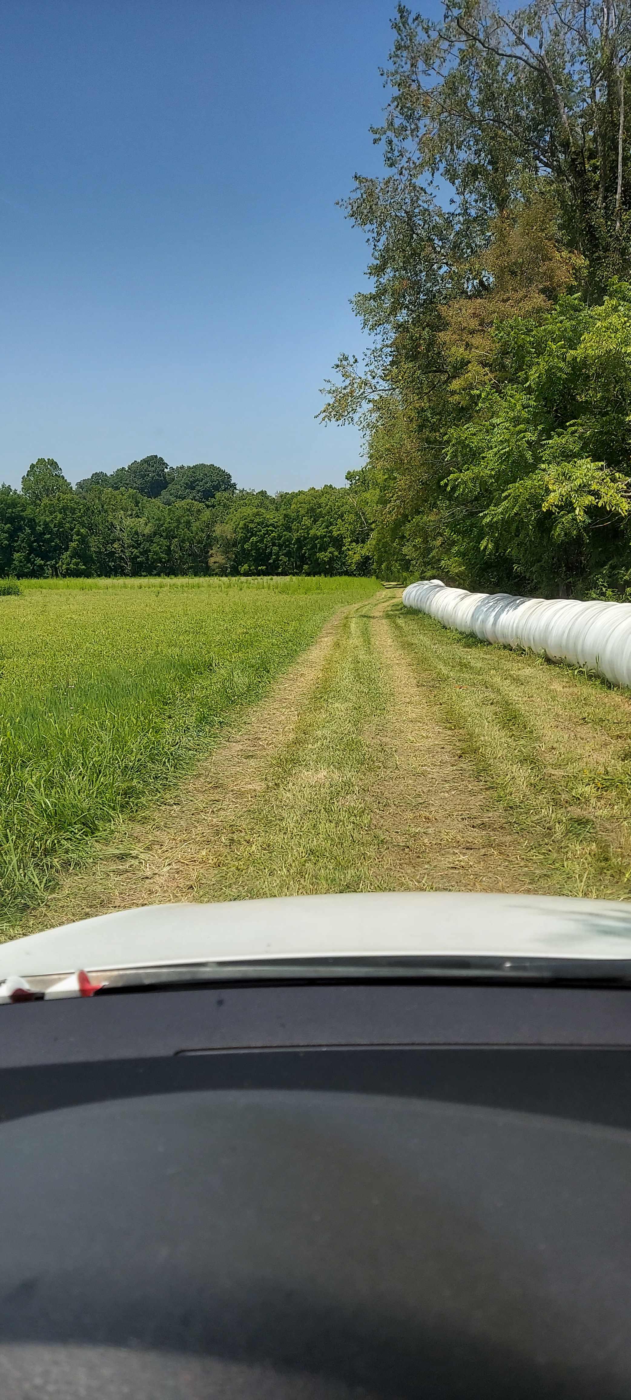 looking down access path to camp sites. Highbridge Road behind