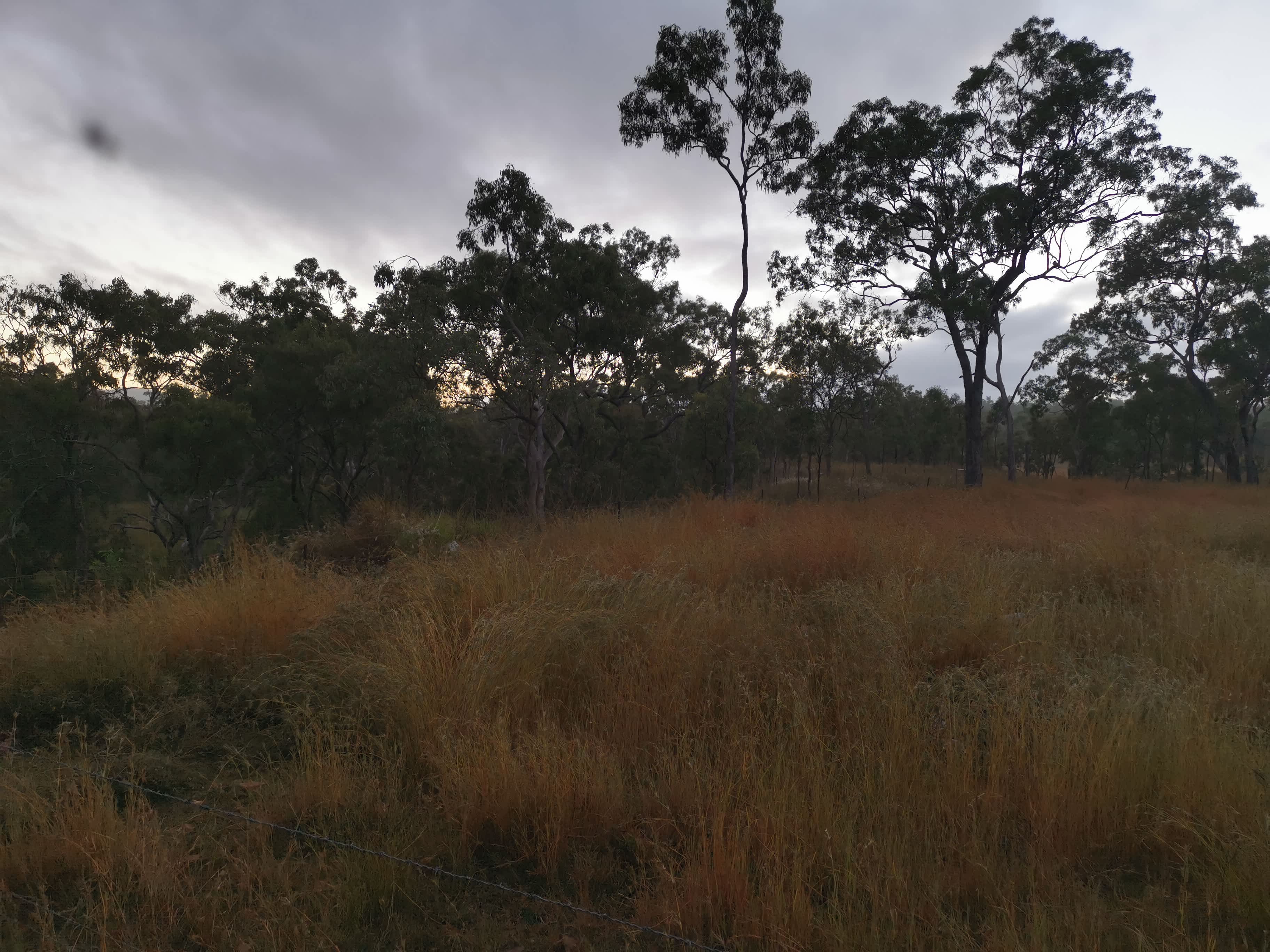 Serenity Bush Camp