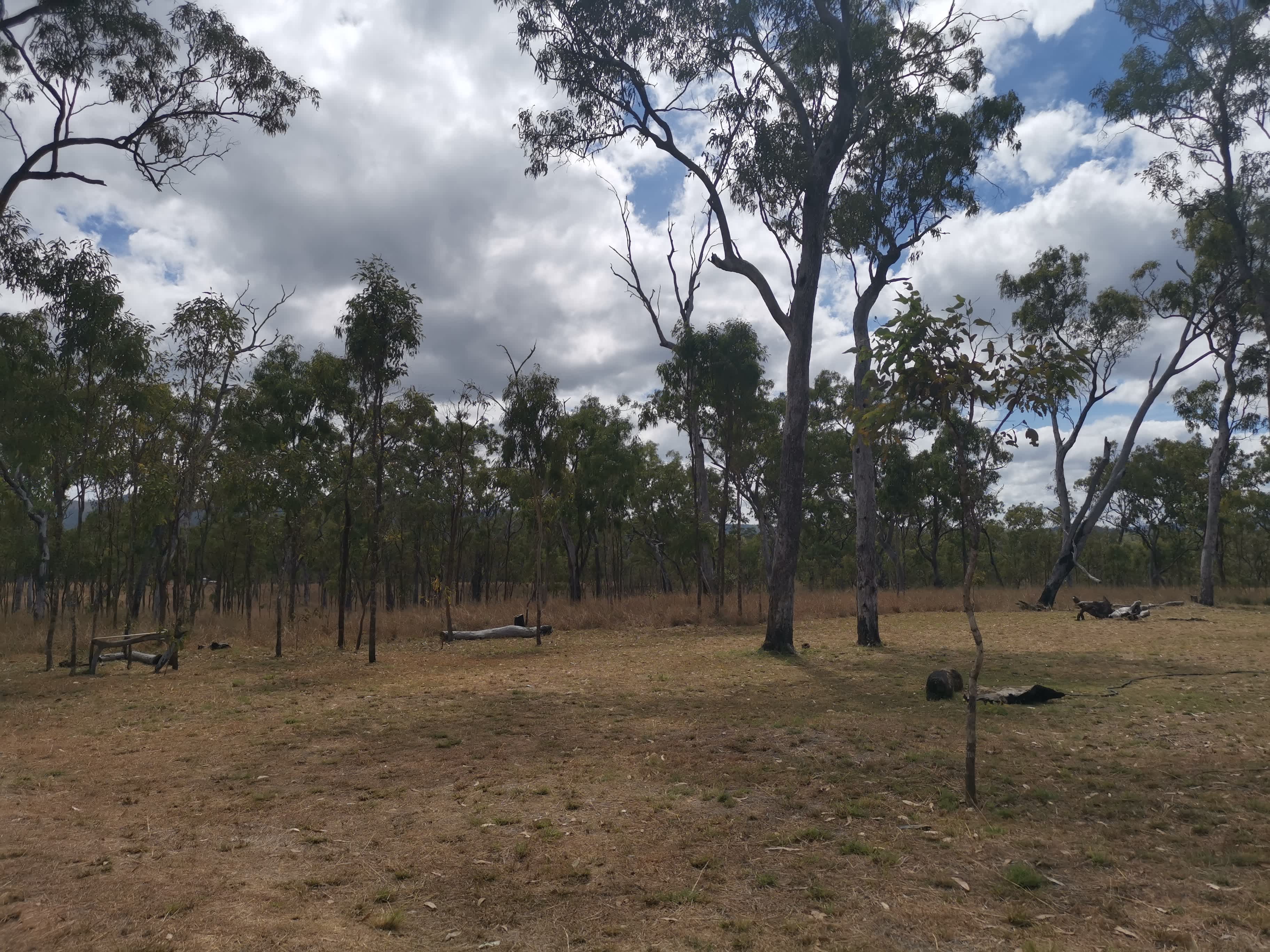 Serenity Bush Camp