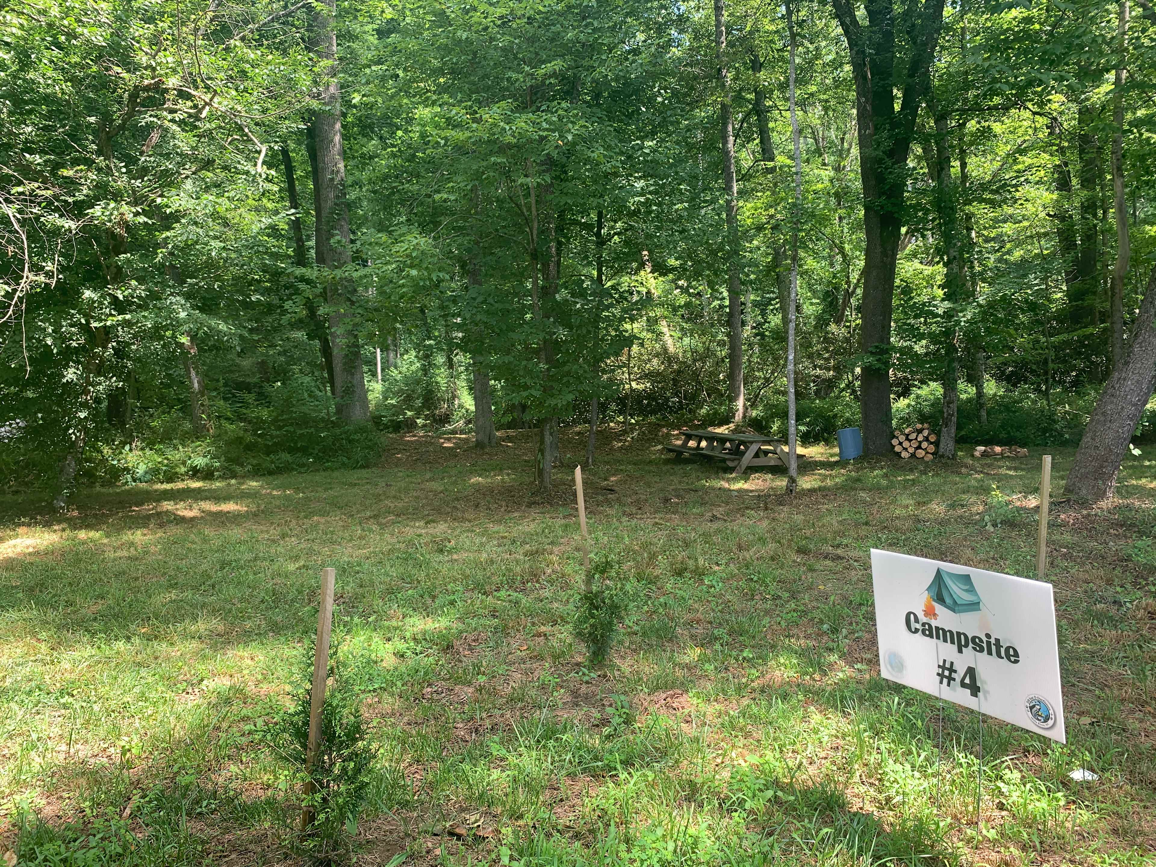 Campsite #4 