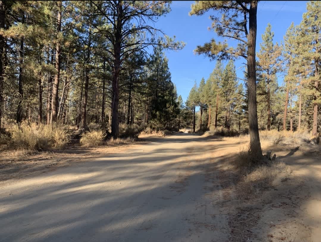 This is Peacepipe lane, to the right of the pic the tree now has a Private Property sign and small space to park that was dug out to get off the road. The trees on the left are mostly gone and a gate is put up for a Canibus Grow Station.