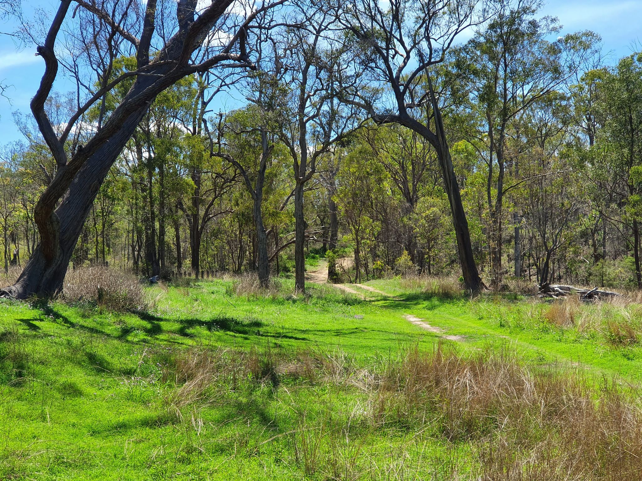 Entry to Wild Peach Creek. Not always so green except after a good rain. Colours untouched! 