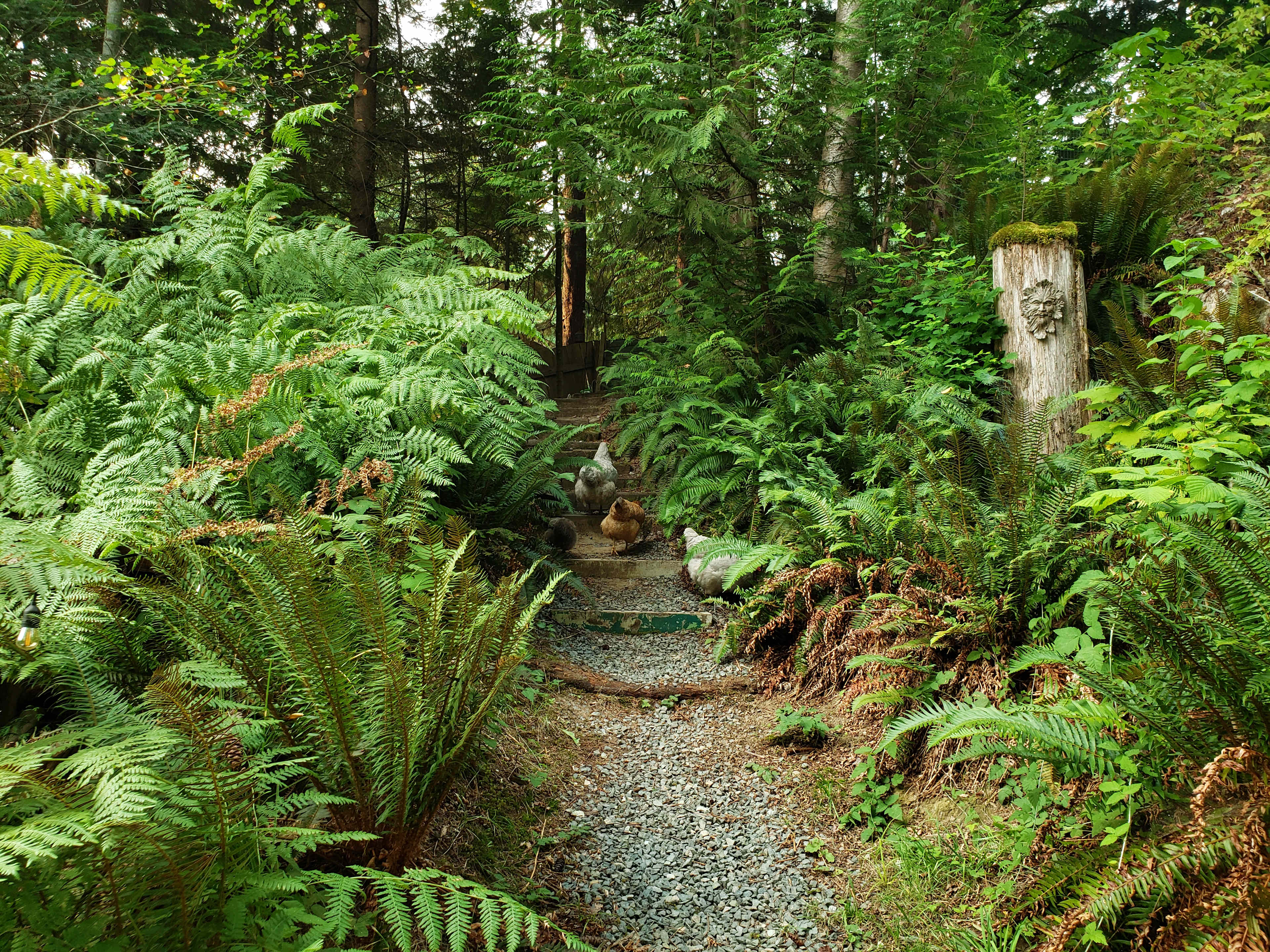 Bigfoot Hideaway on the Fraser