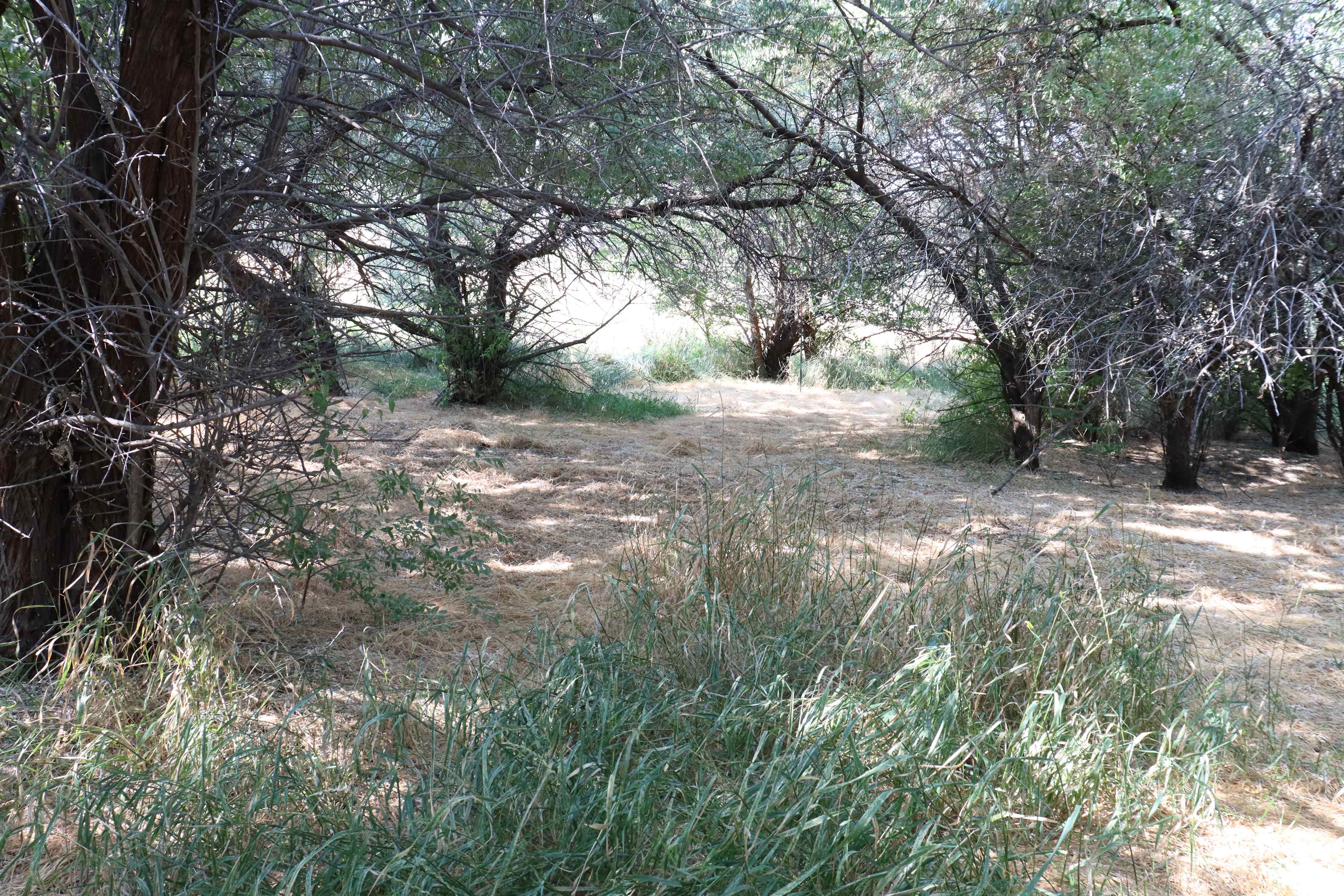 A place On6Acres