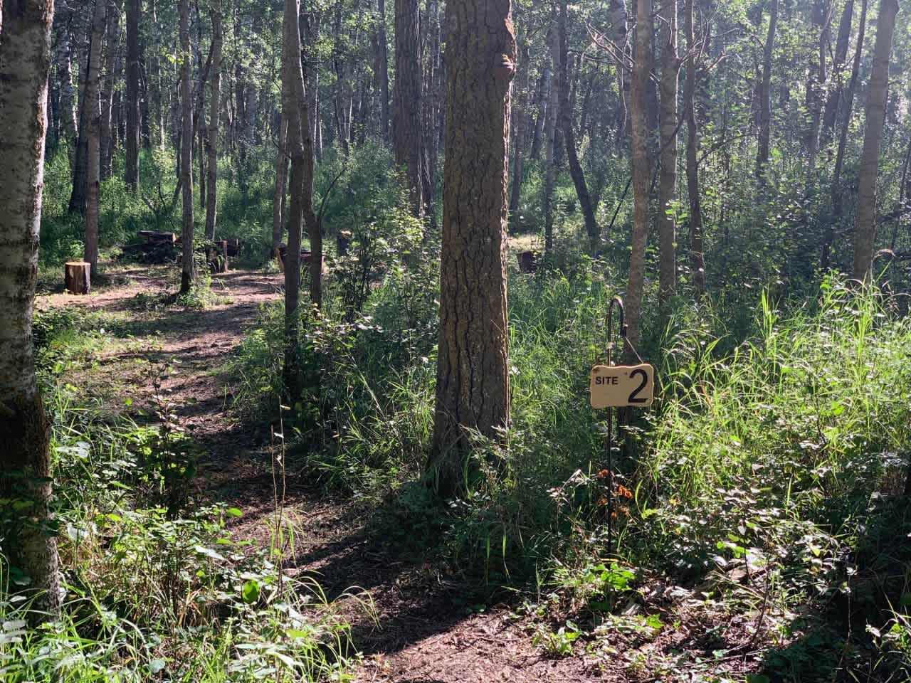 Walking Path to Site #2. 50 feet.