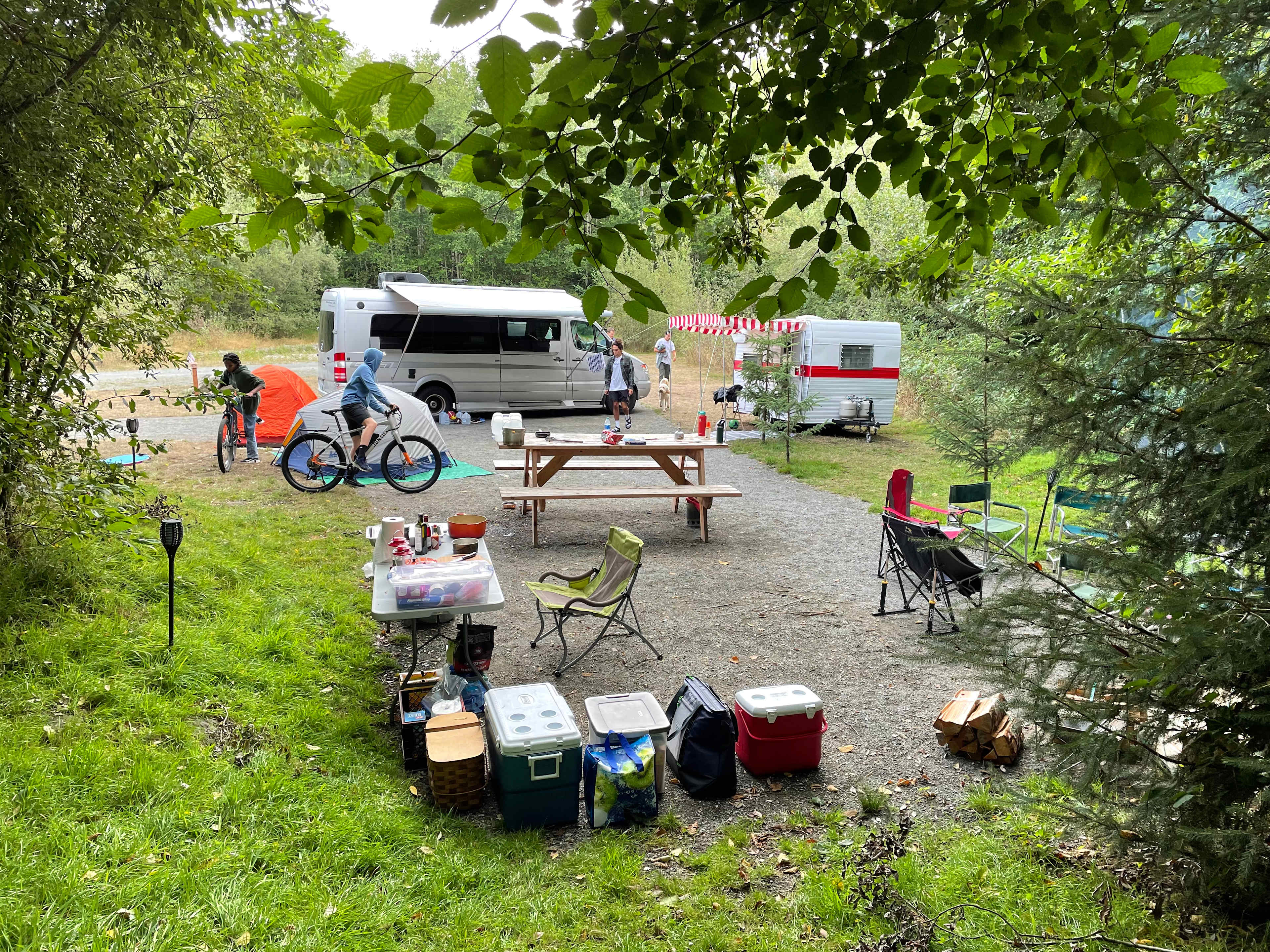 Hoh River Campsites