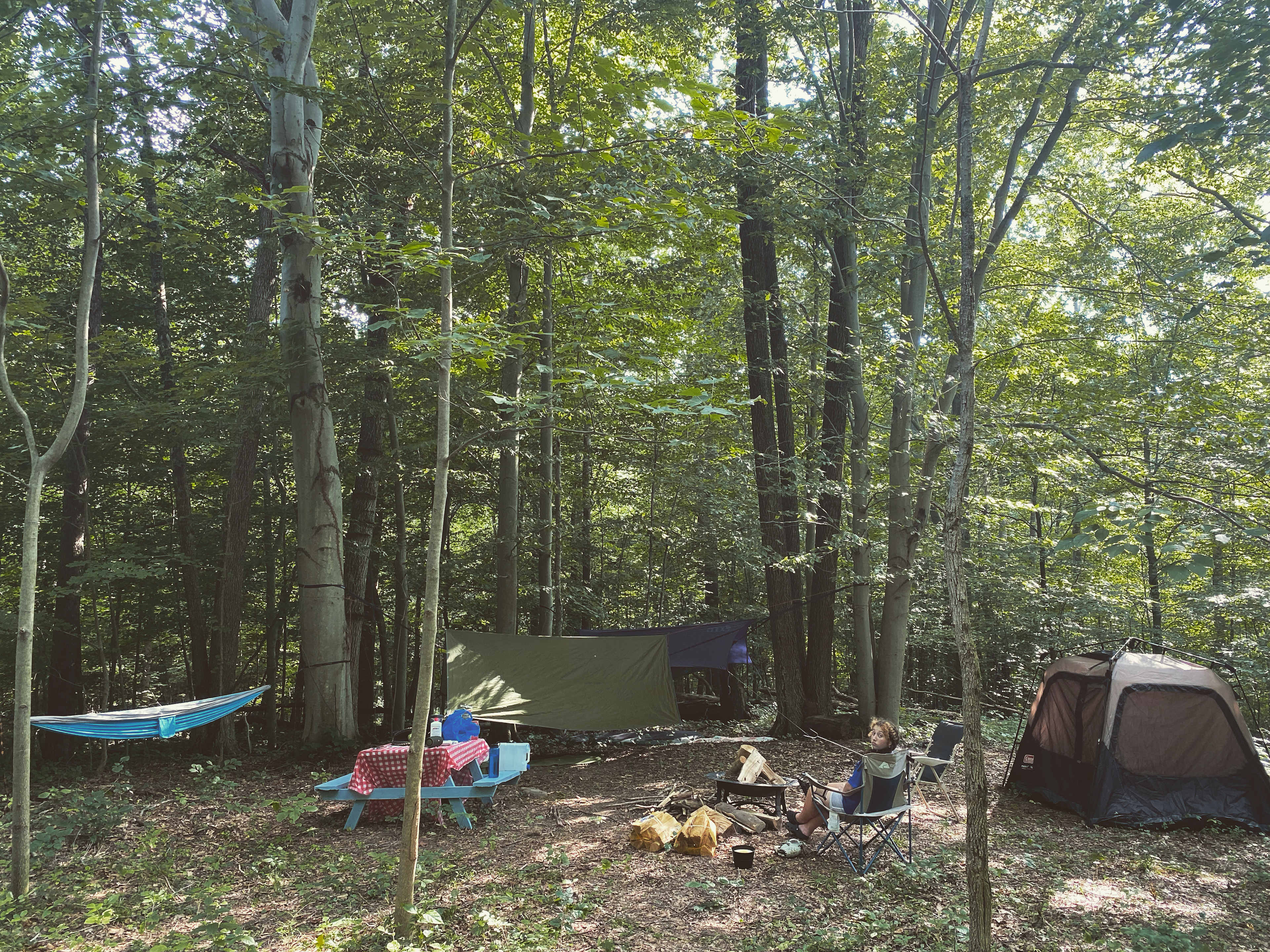 Away From The World