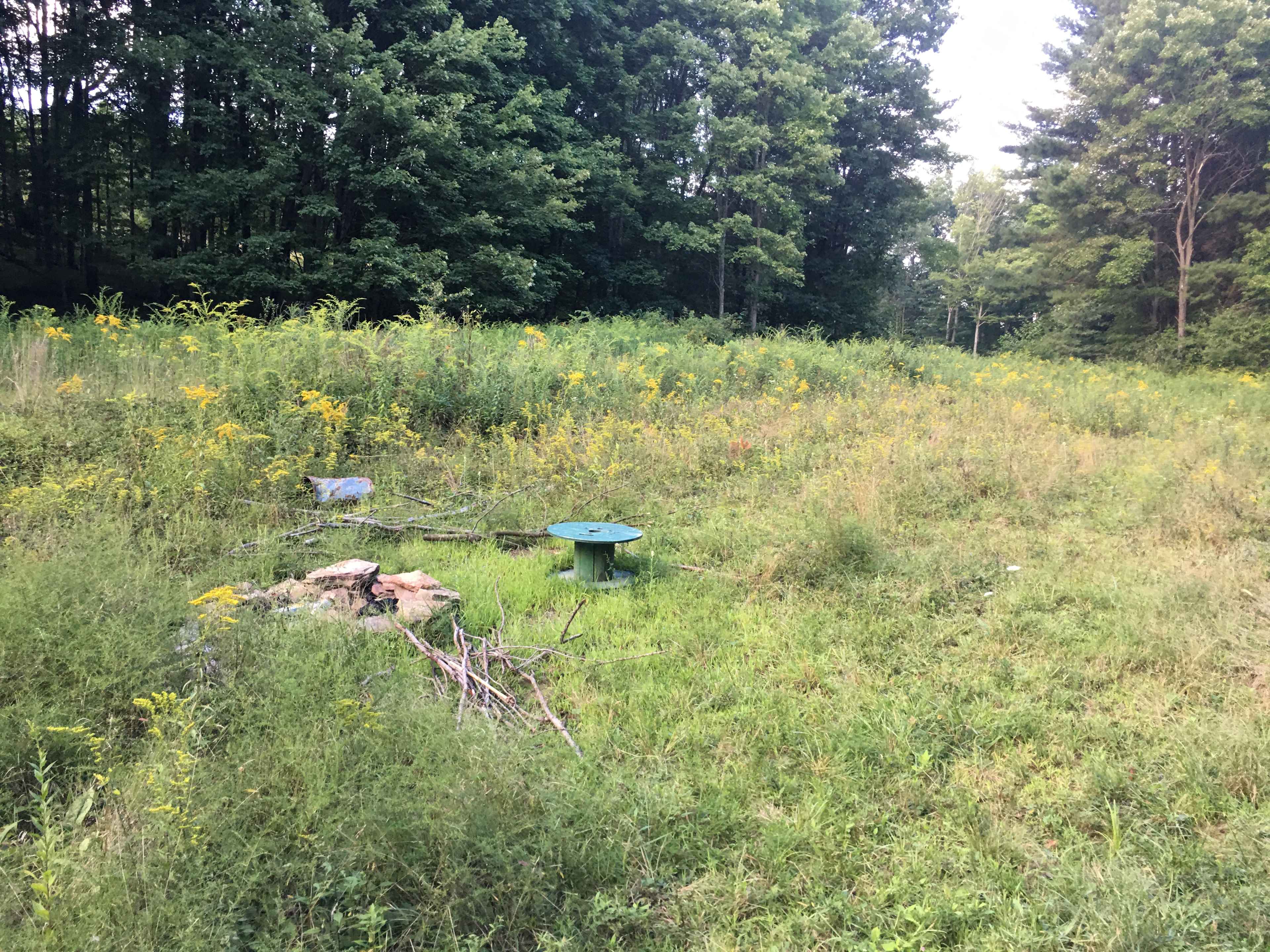 Neal Homestead Camp Sites