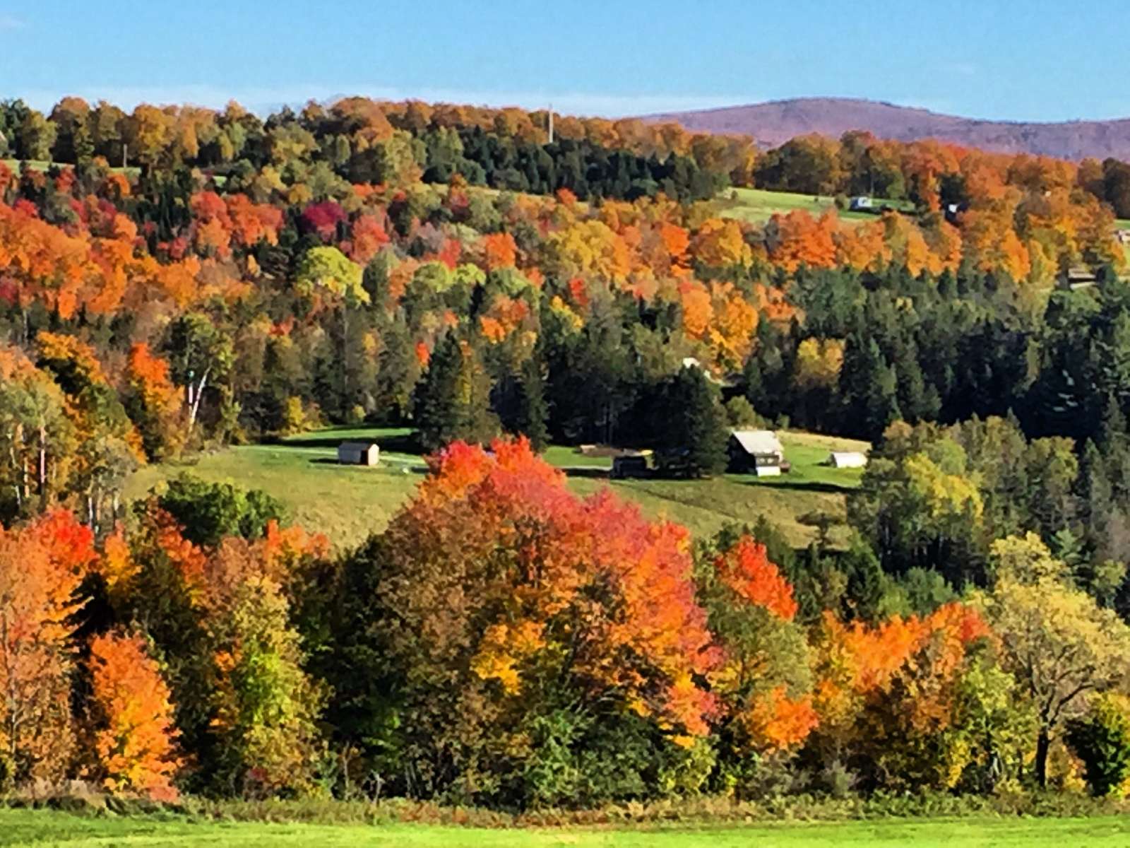 Broadfork Farmstead