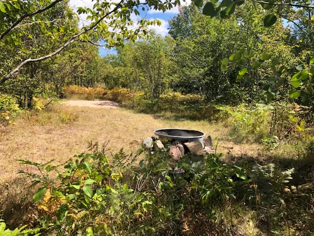 Site #1