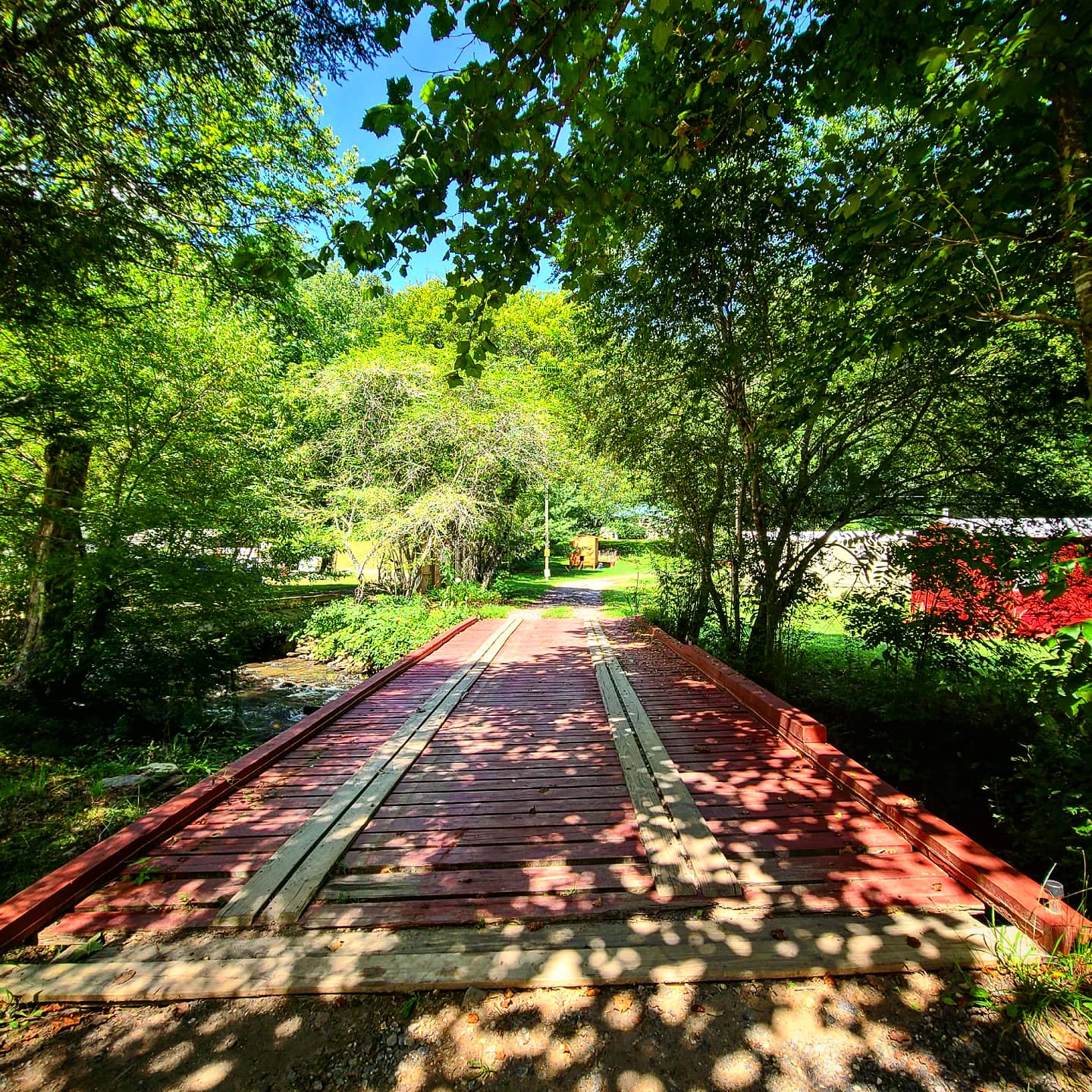Conleys Creek Campground
