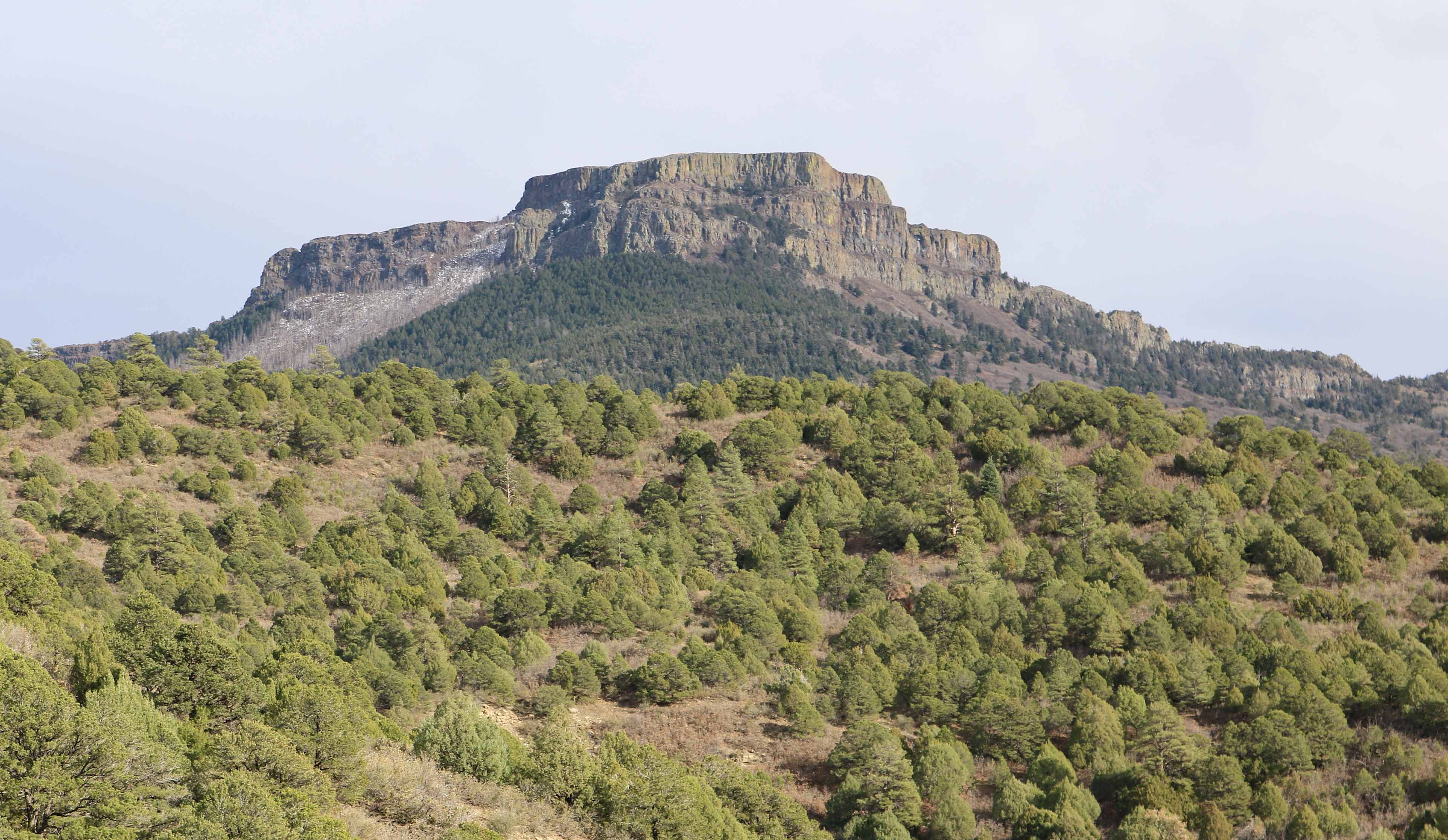 Fishers Peak State Park
