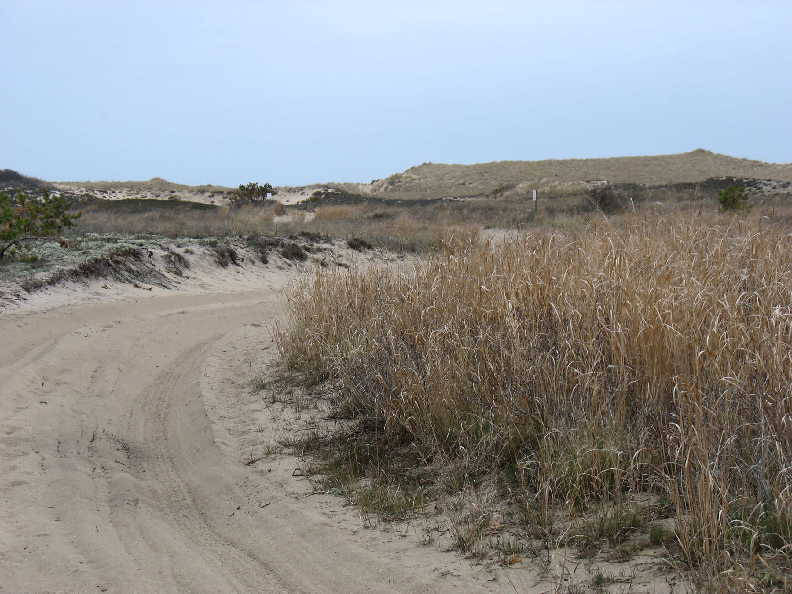 Napeague State Park
